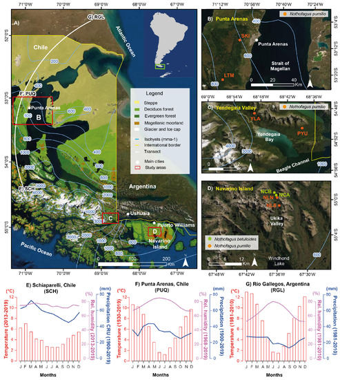 Forests 13 00794 g001