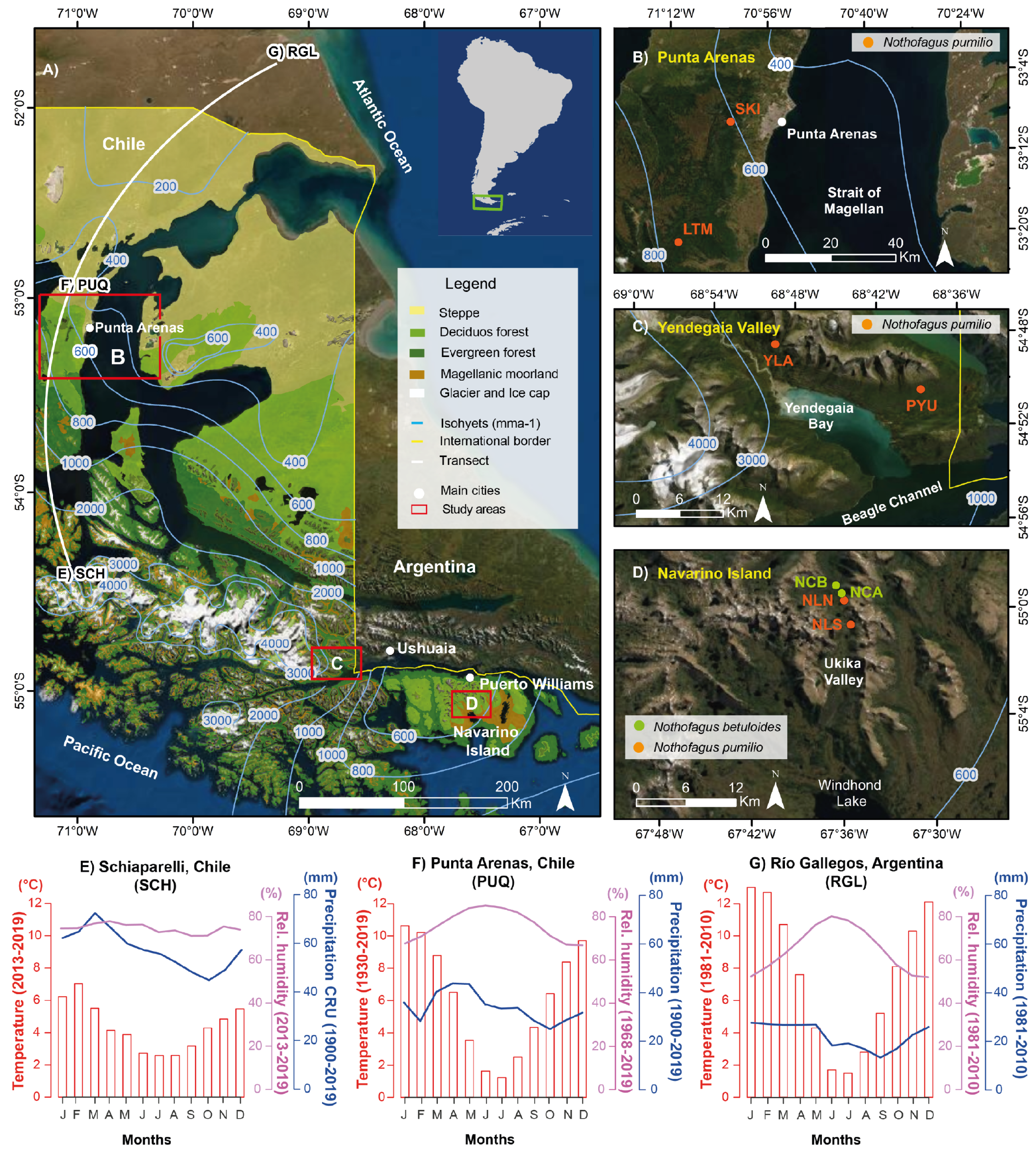 Forests 13 00794 g001