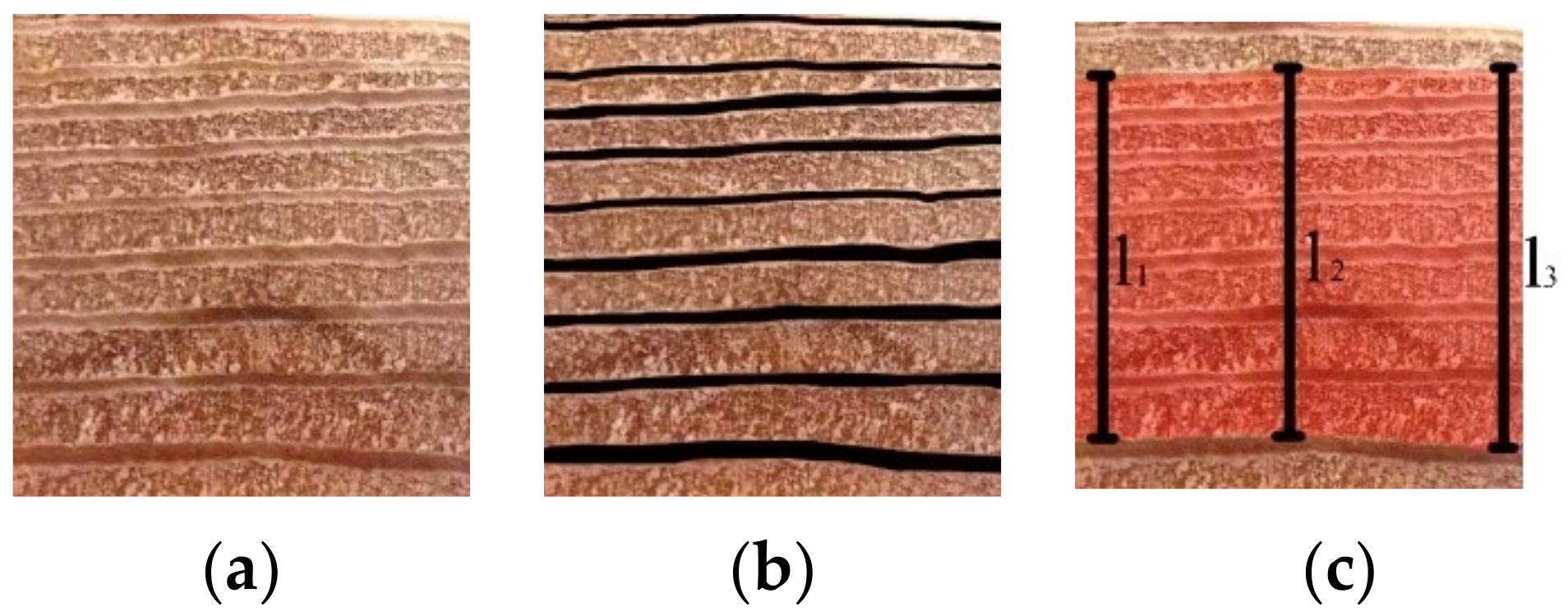 Forests 13 00797 g001