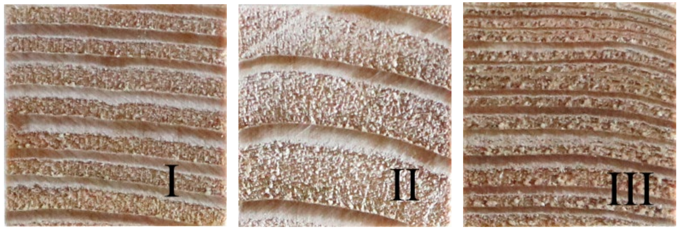 Forests 13 00797 g003