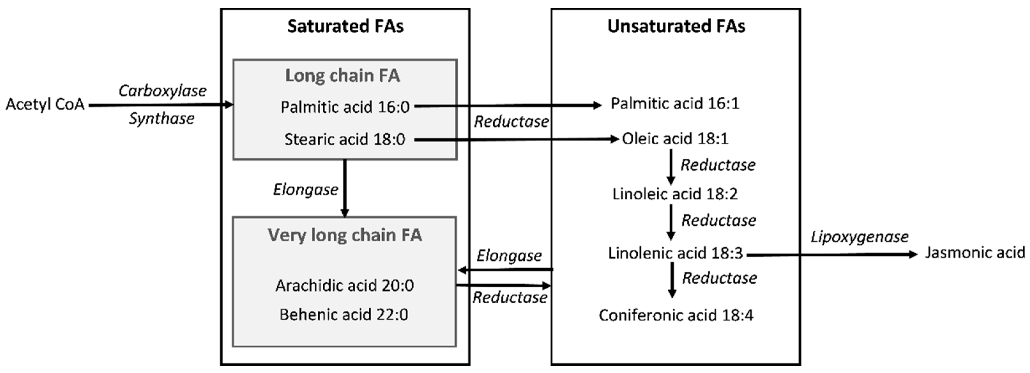 Forests 13 00800 g001