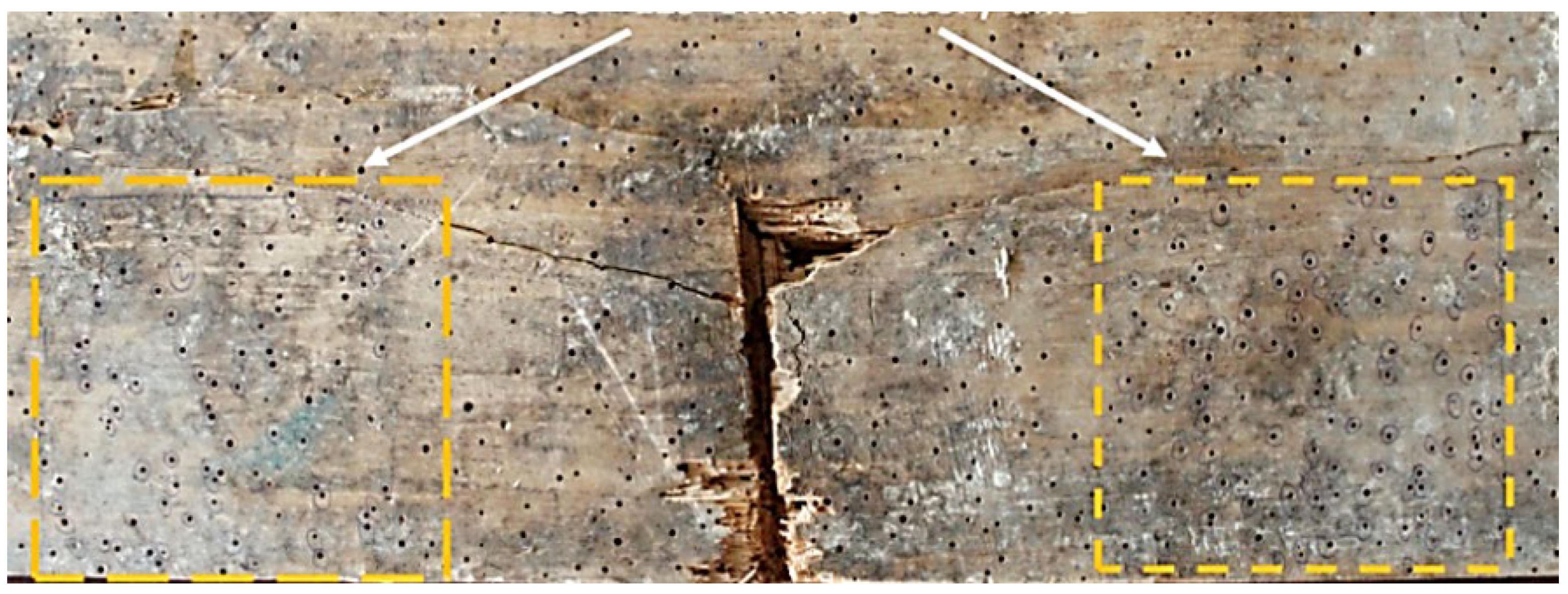 Forests 13 00801 g006