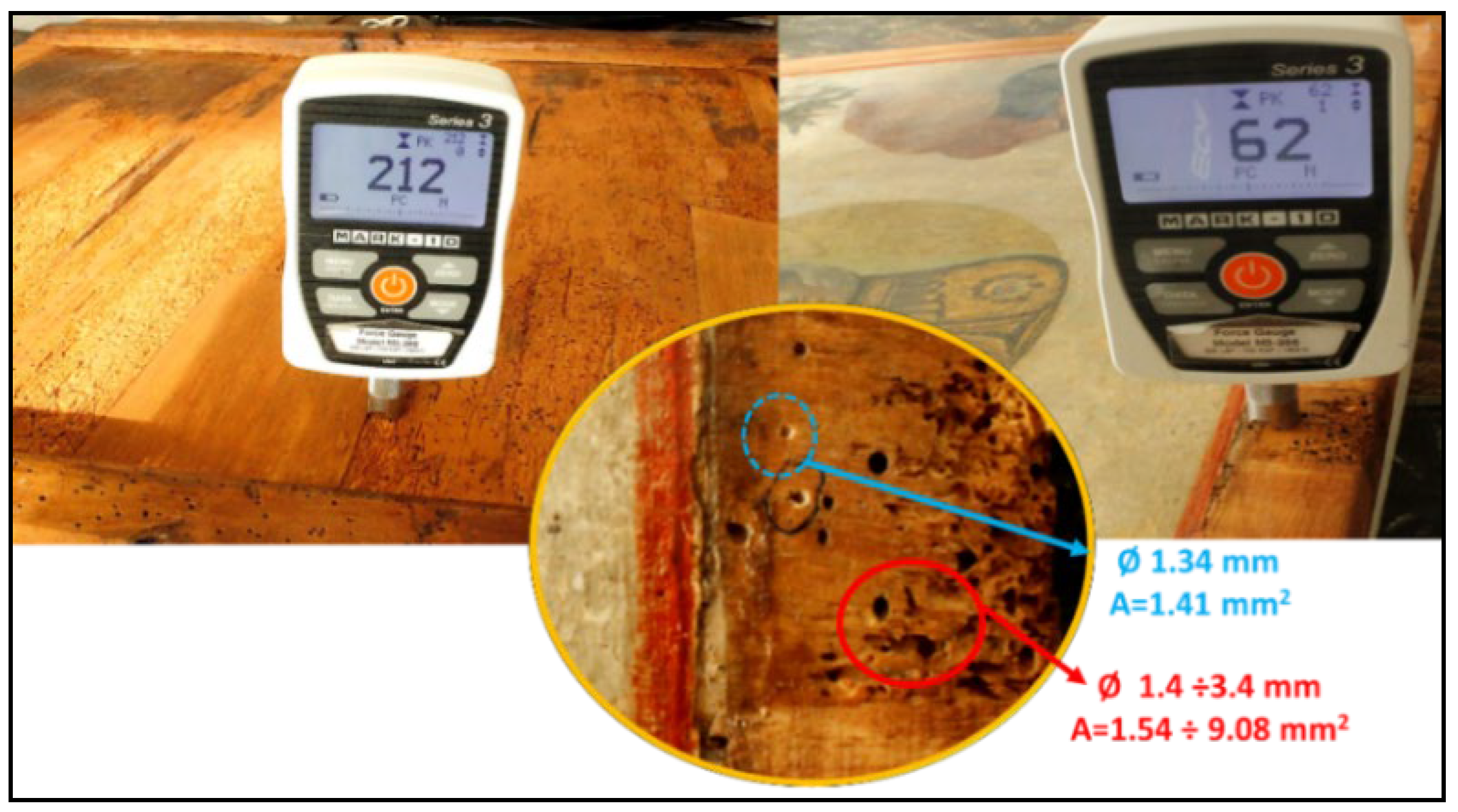 Forests 13 00801 g012