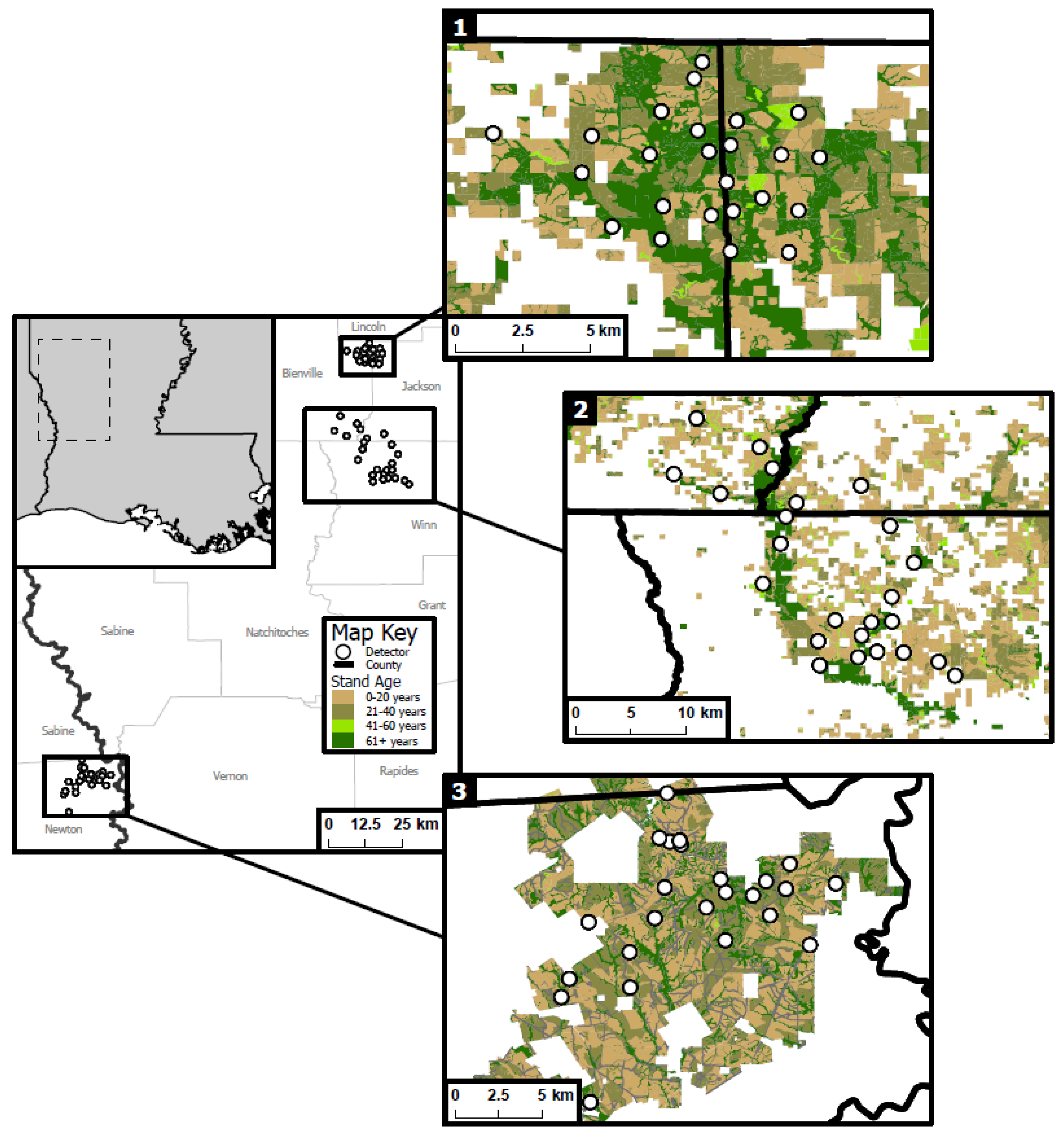 Forests 13 00803 g001
