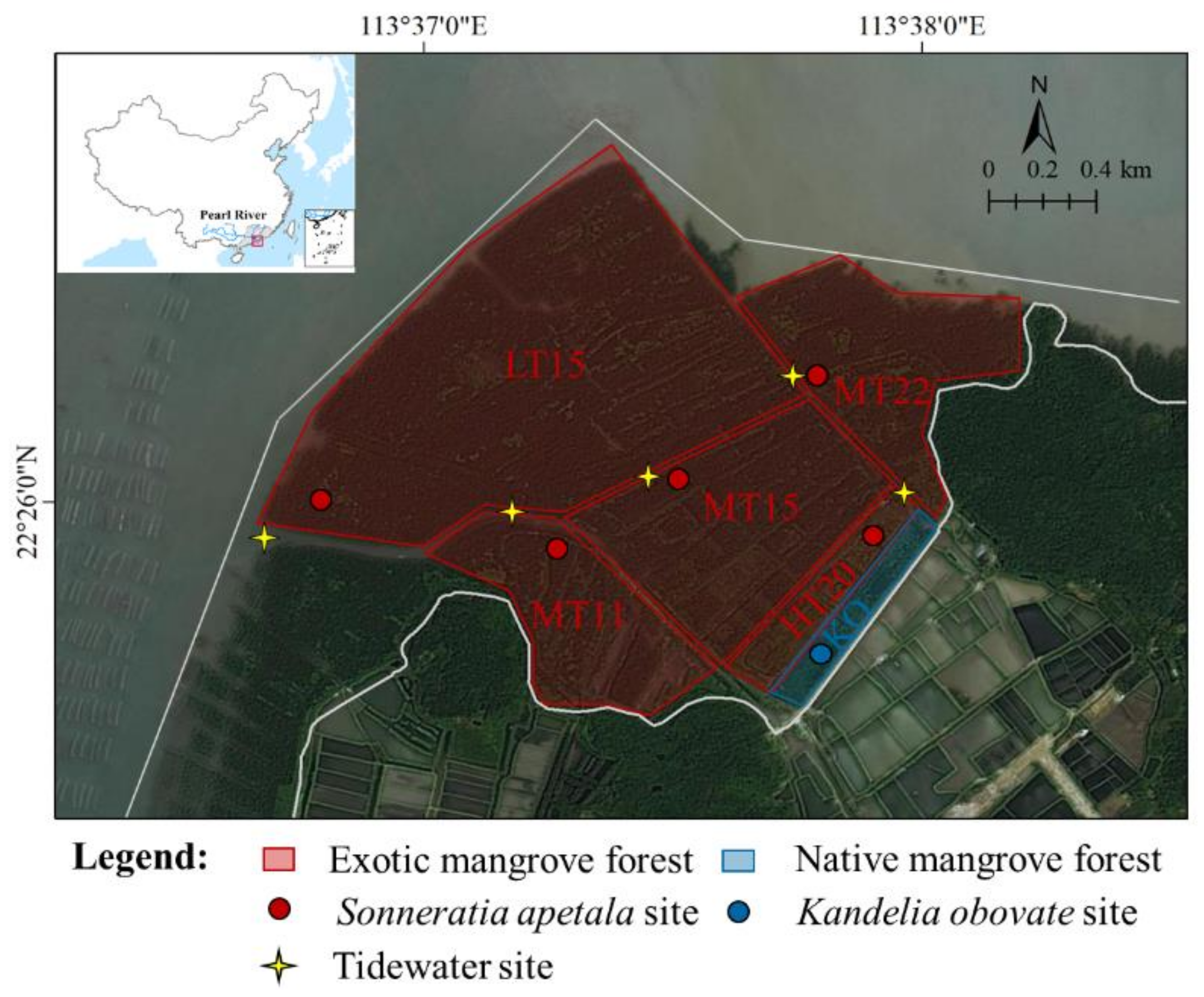 Forests 13 00804 g001