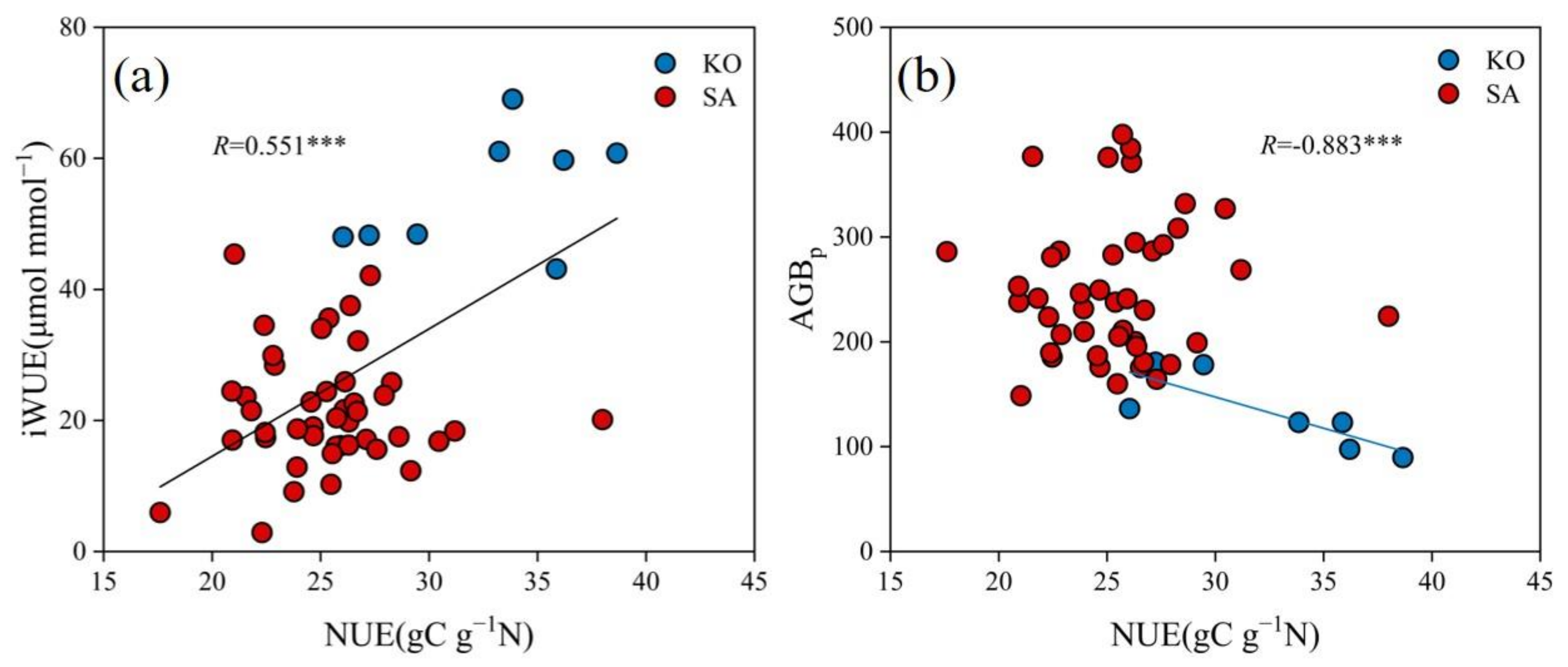 Forests 13 00804 g006