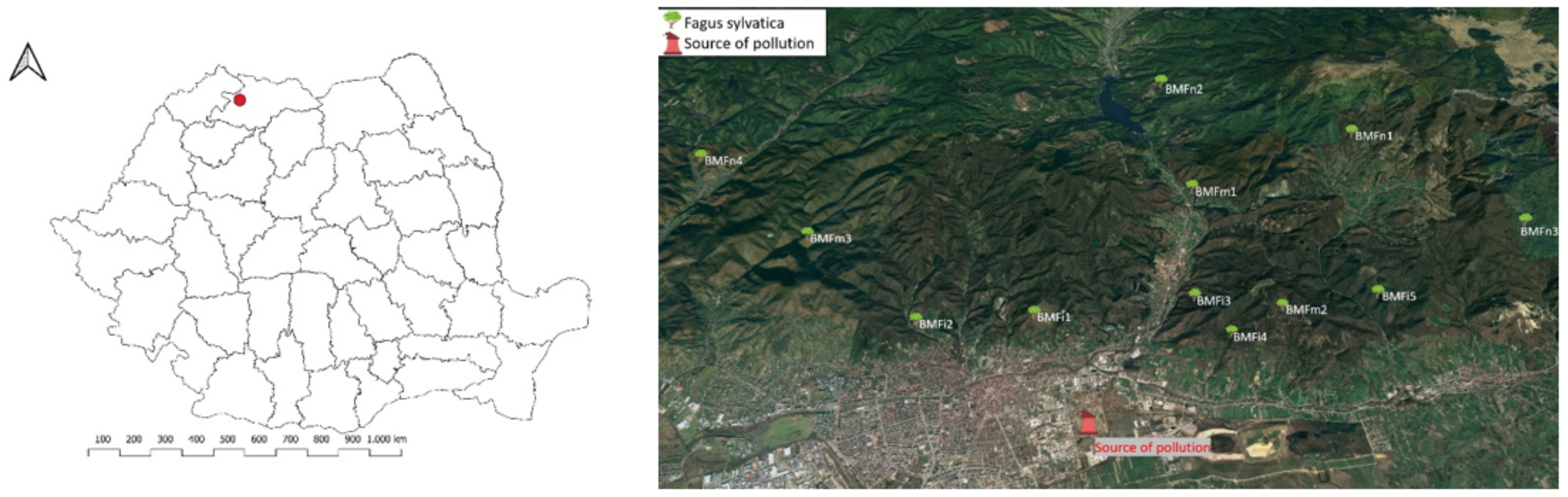 Forests 13 00807 g001