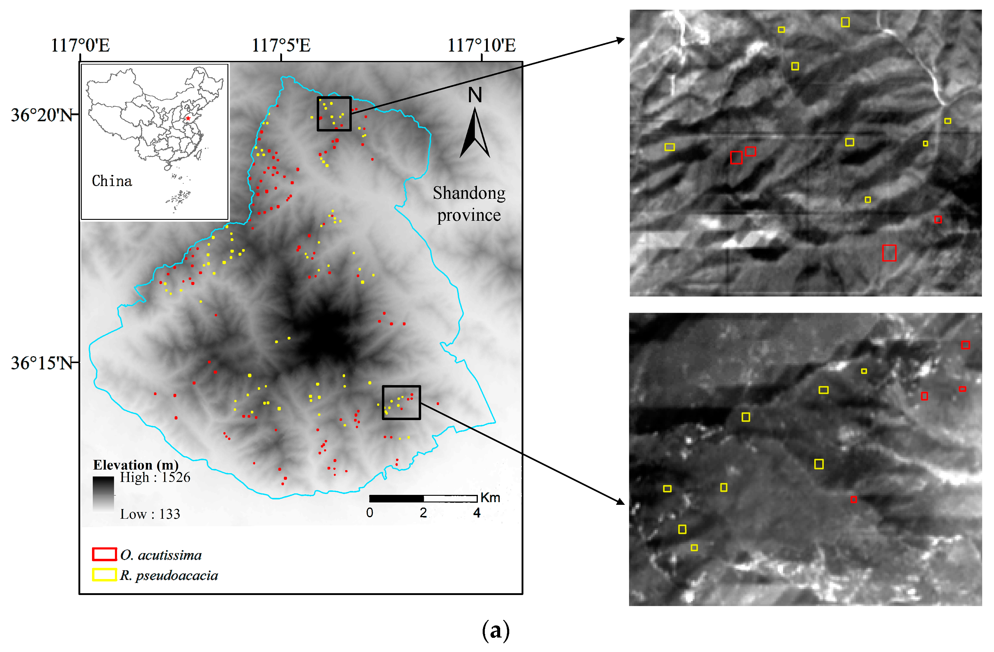 Forests 13 00813 g001a