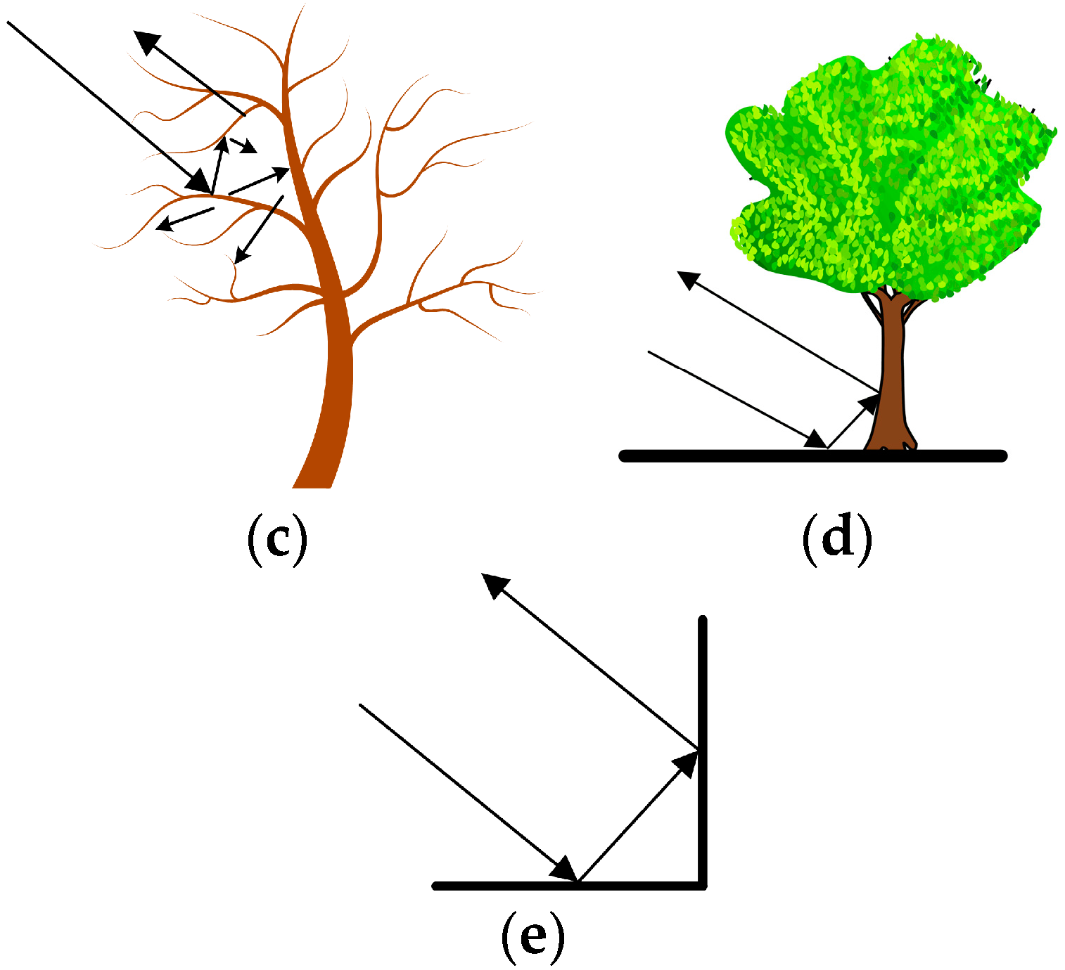Forests 13 00814 g003b