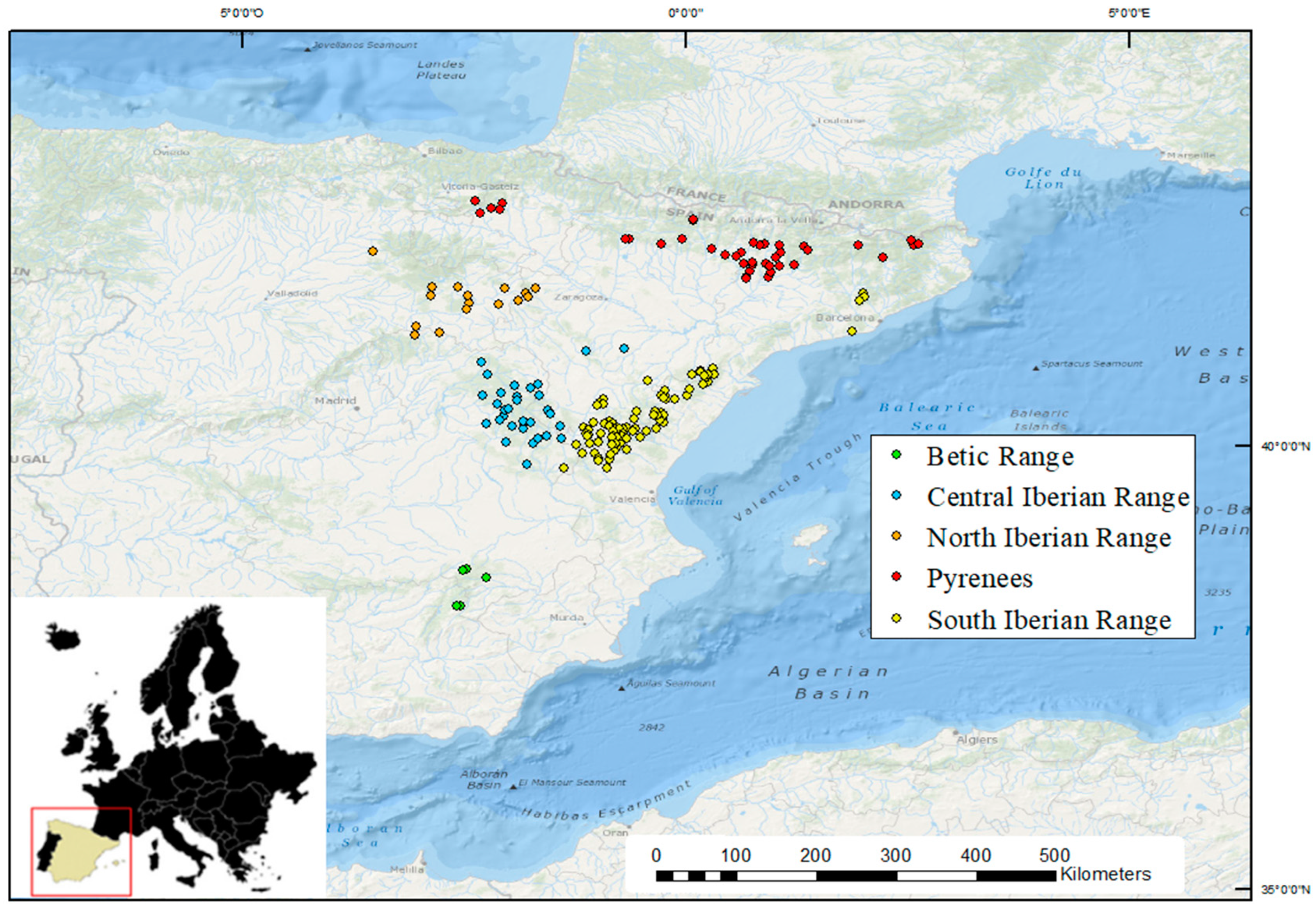 Forests 13 00819 g001