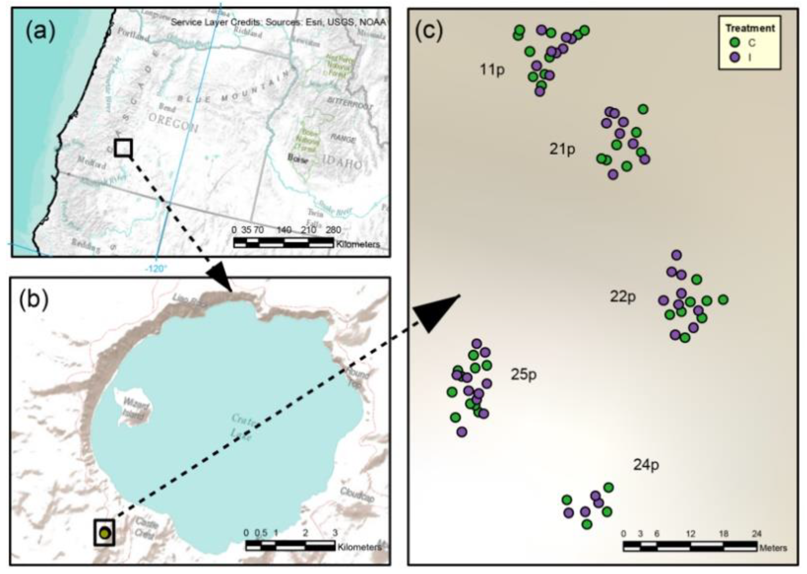 Forests 13 00824 g001