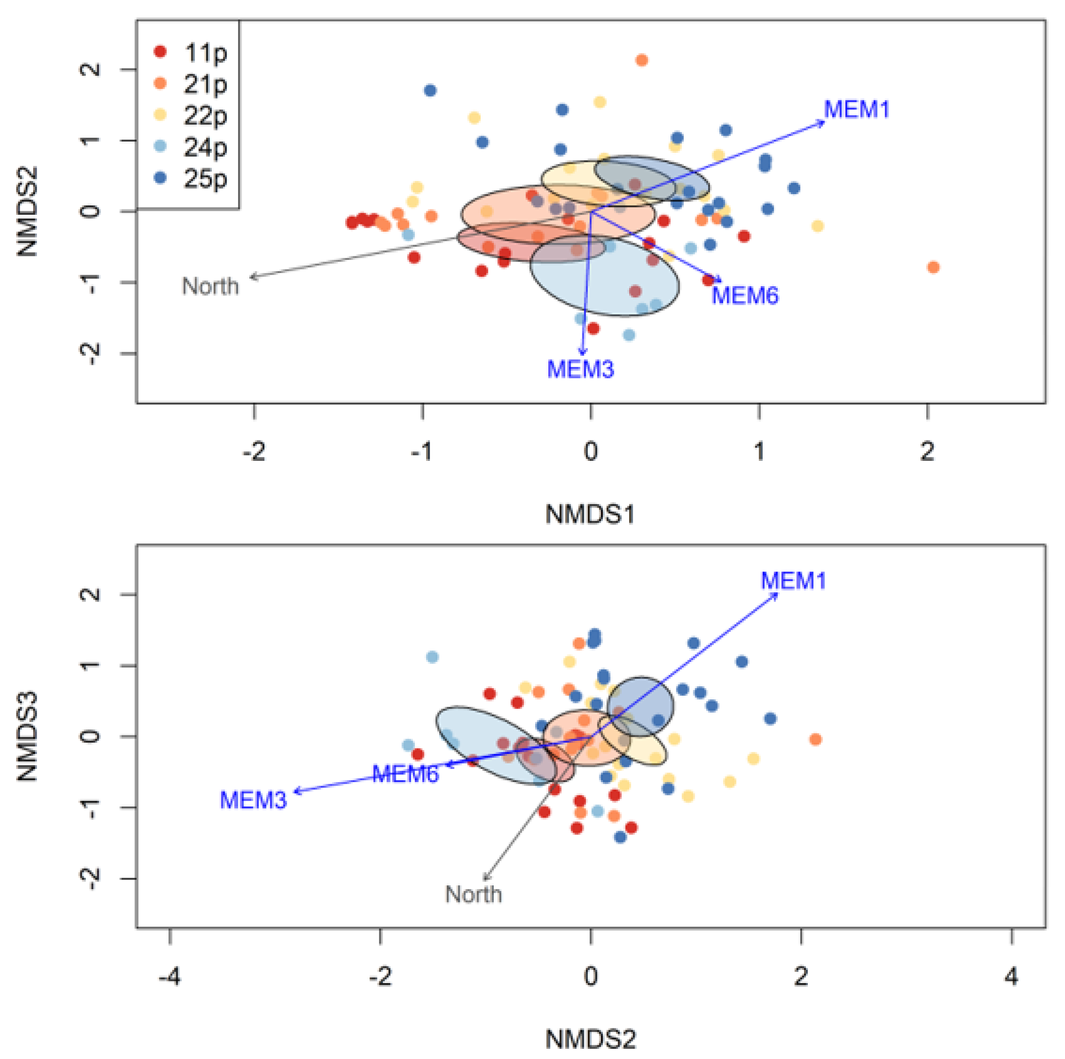 Forests 13 00824 g004