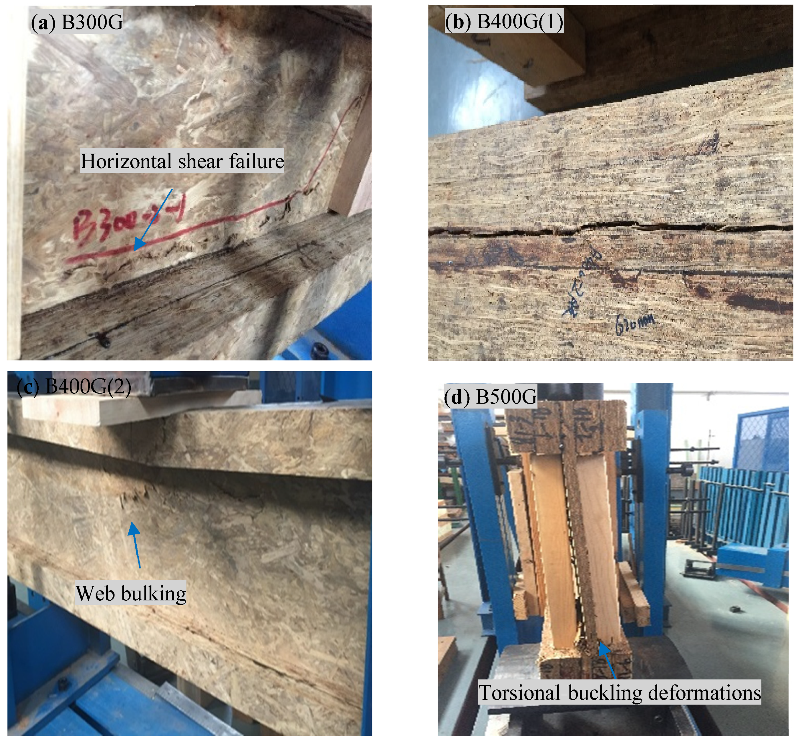 Forests 13 00826 g004a Forests 13 00826 g004a