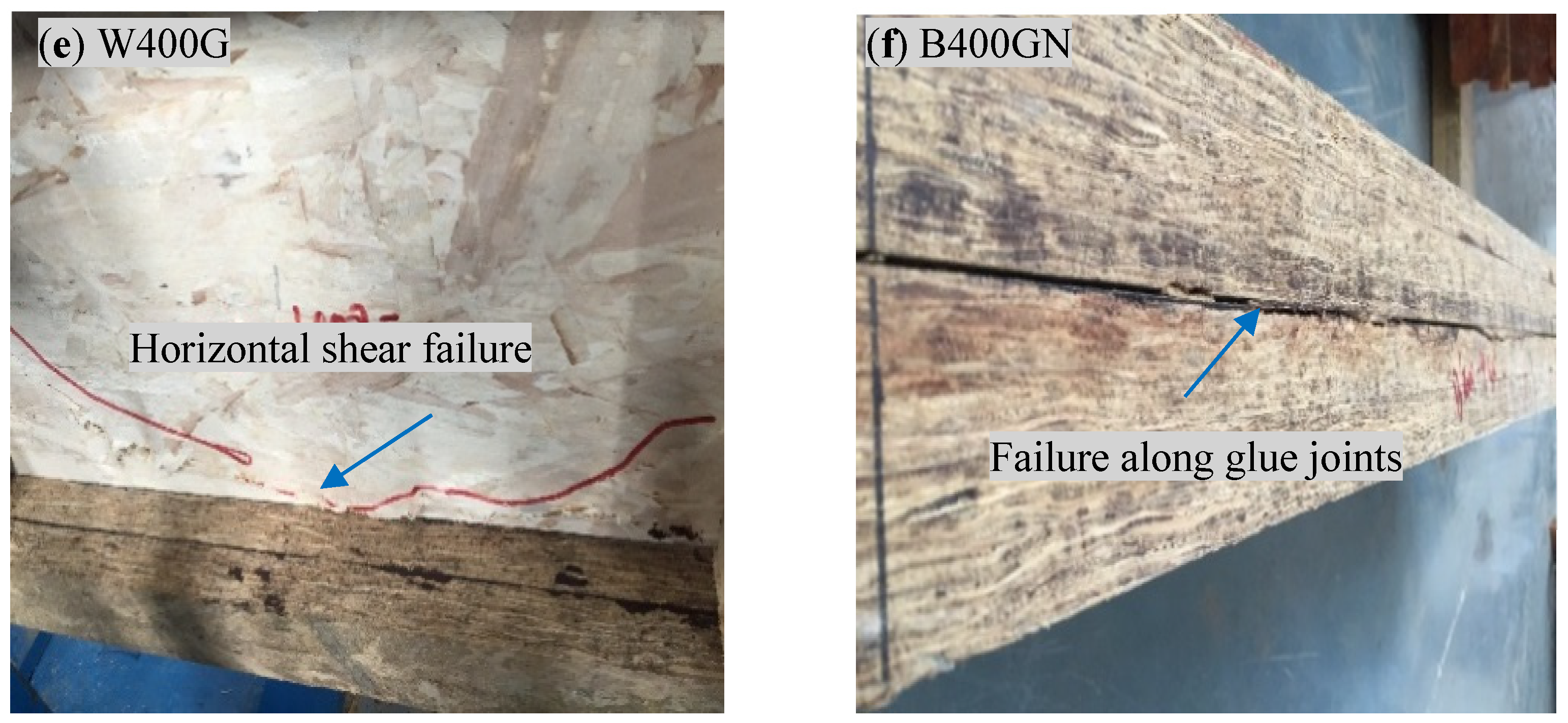 Forests 13 00826 g004b Forests 13 00826 g004b