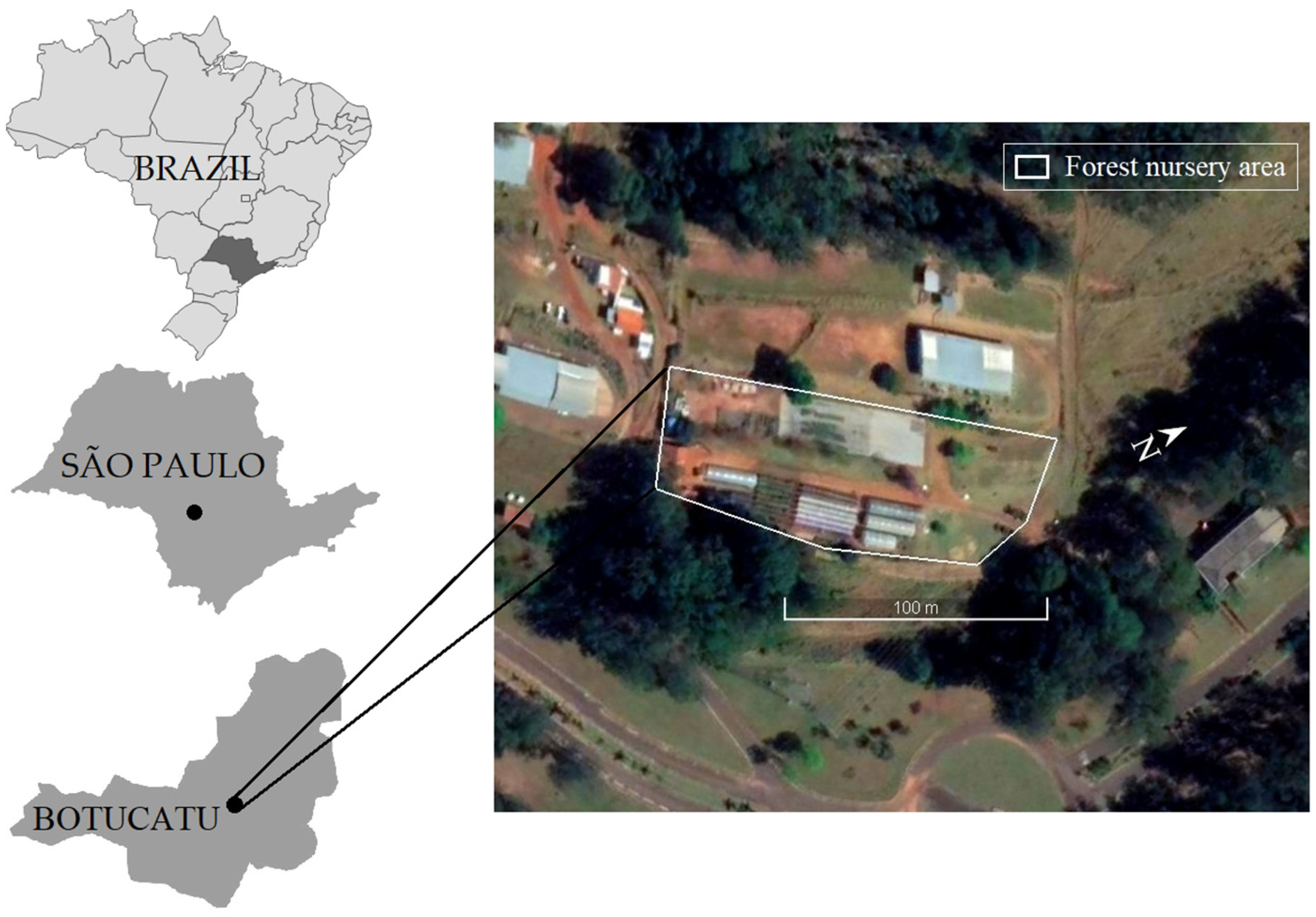 Forests 13 00832 g001