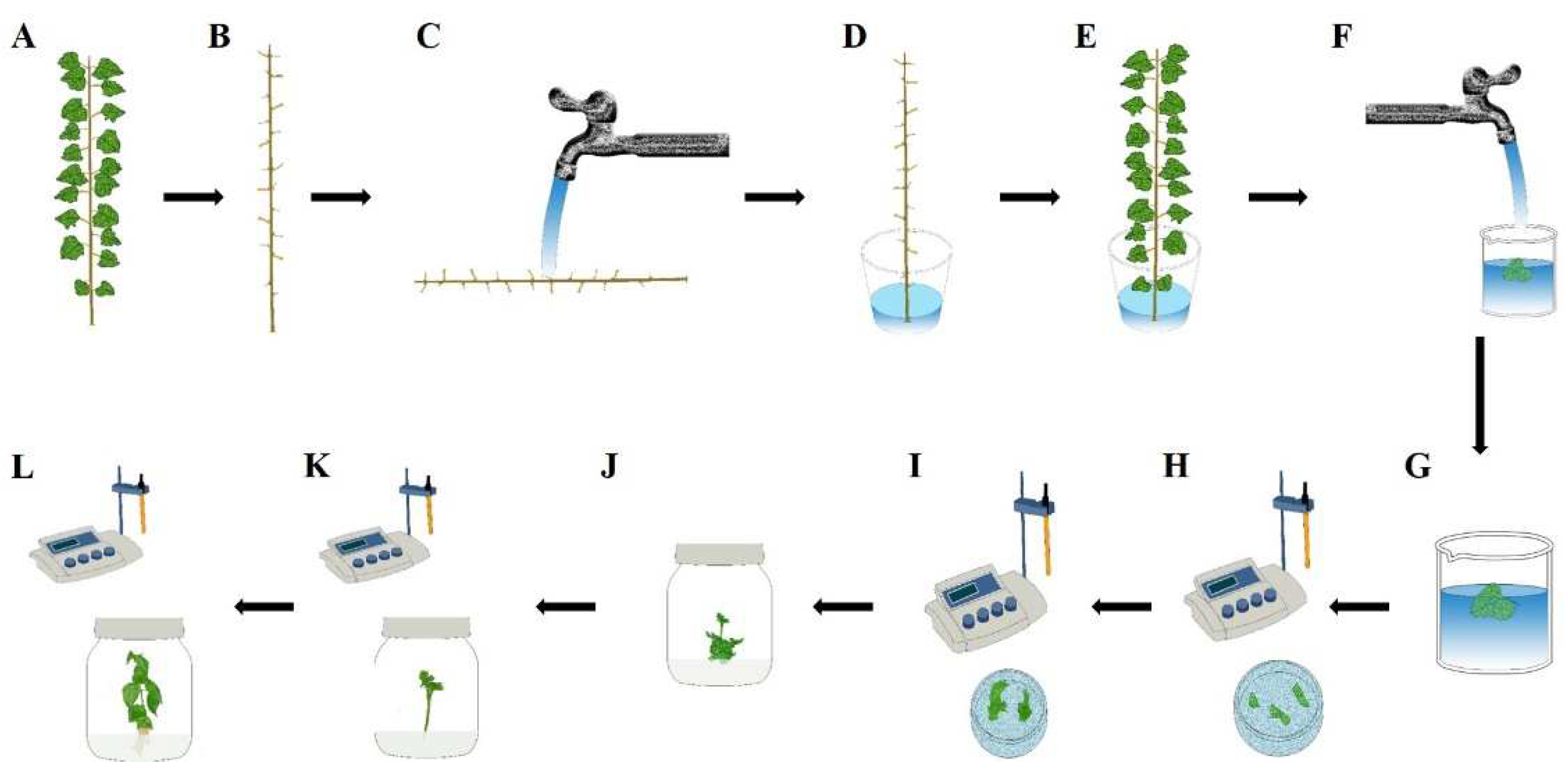 Forests 13 00835 g001