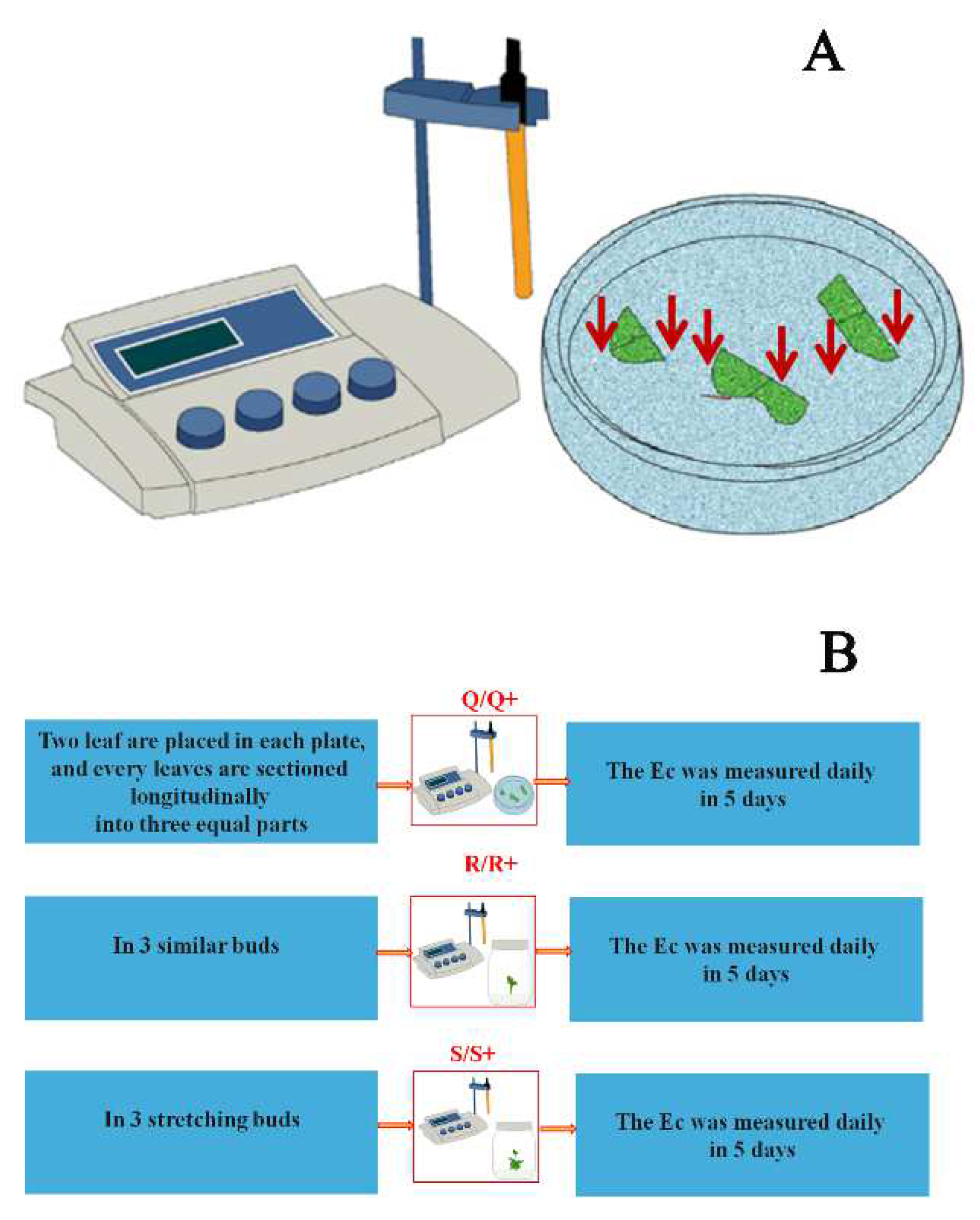 Forests 13 00835 g002