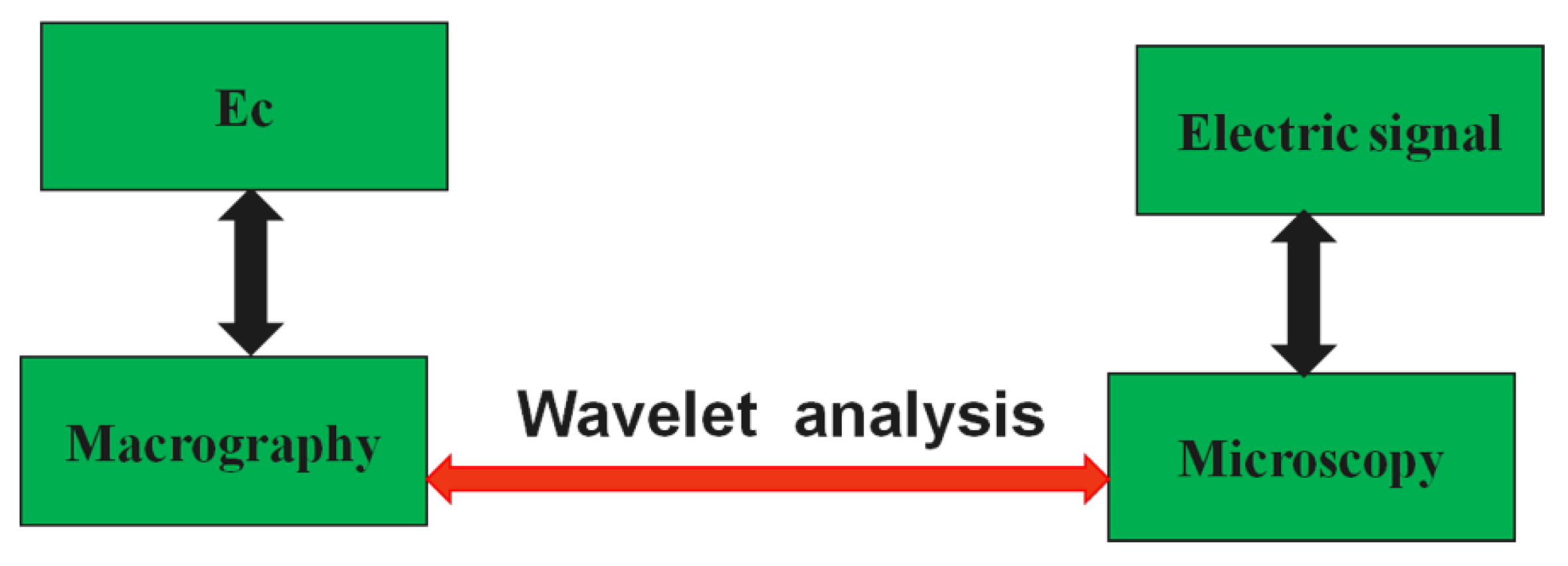 Forests 13 00835 g004