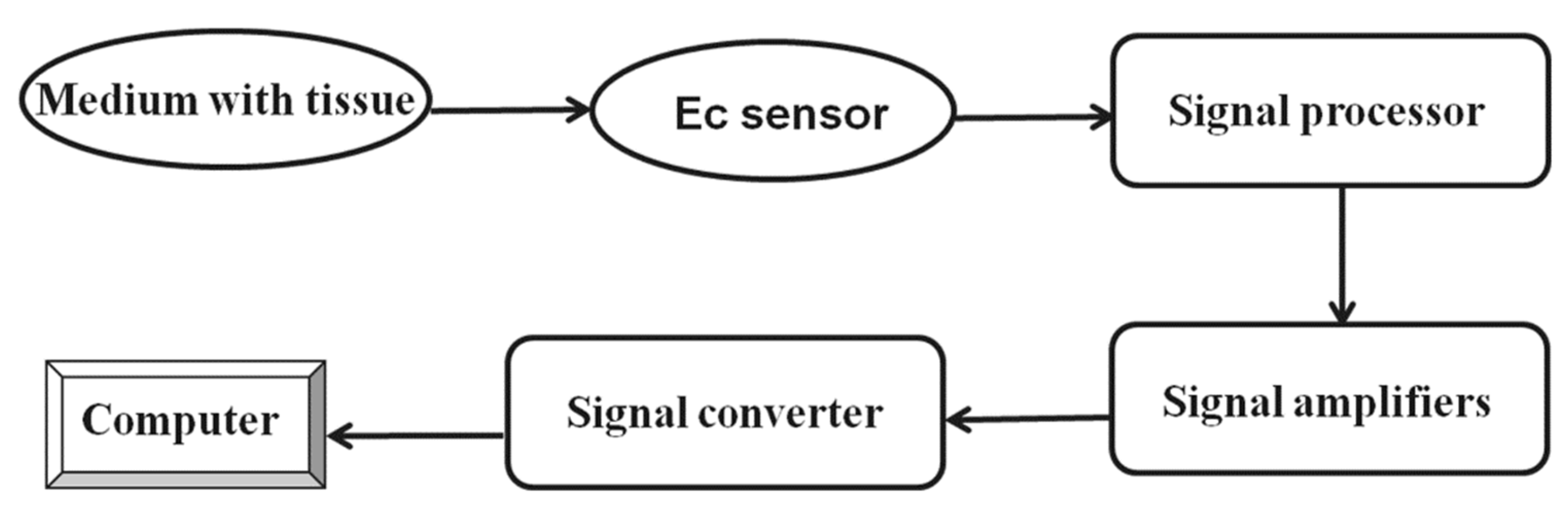Forests 13 00835 g009