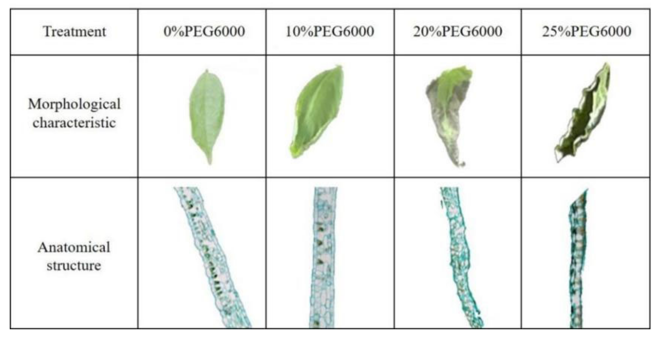 Forests 13 00836 g001
