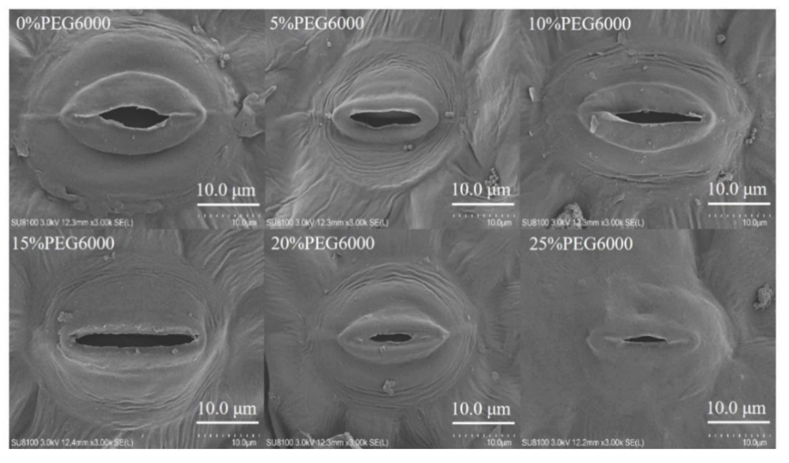 Forests 13 00836 g002