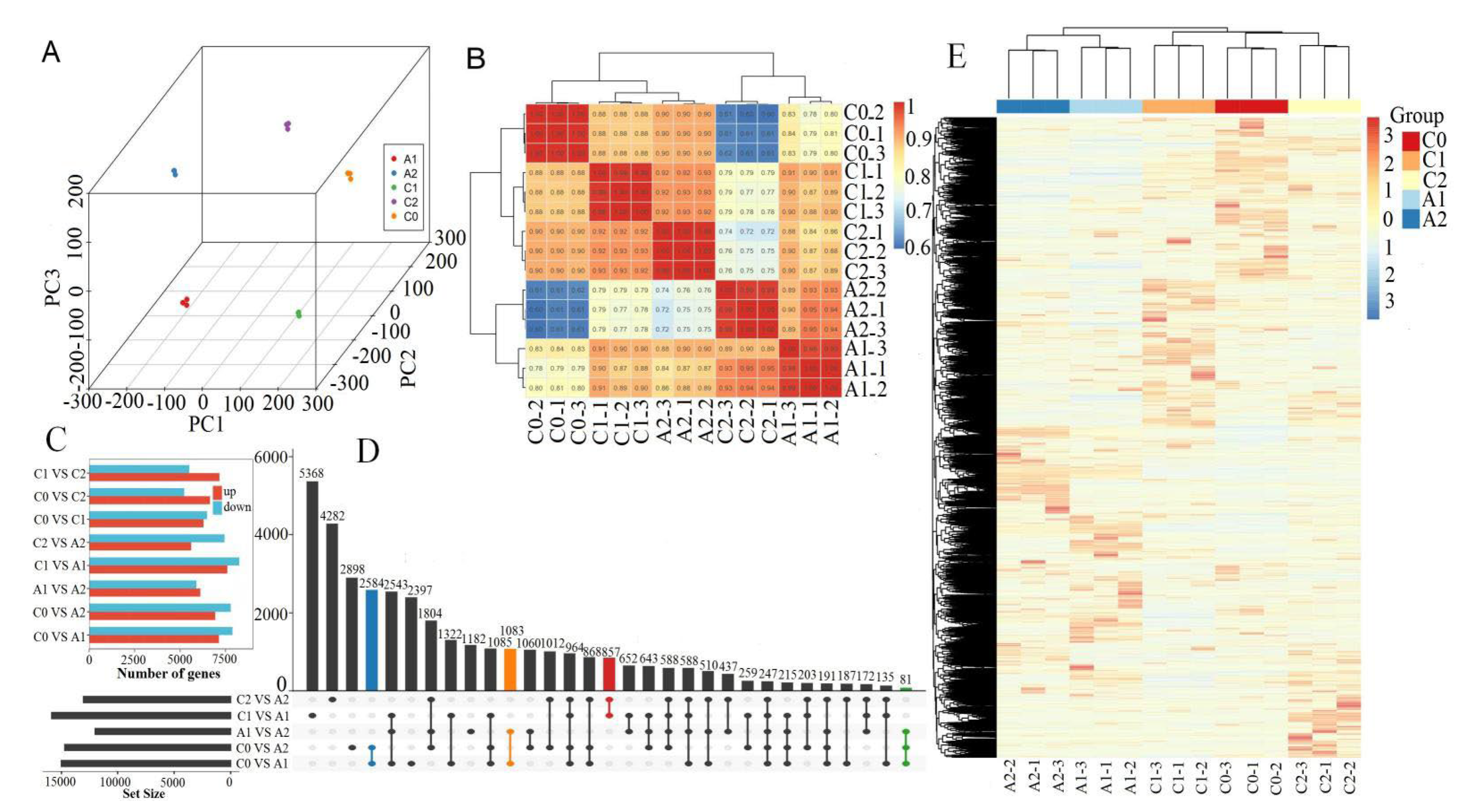 Forests 13 00837 g002