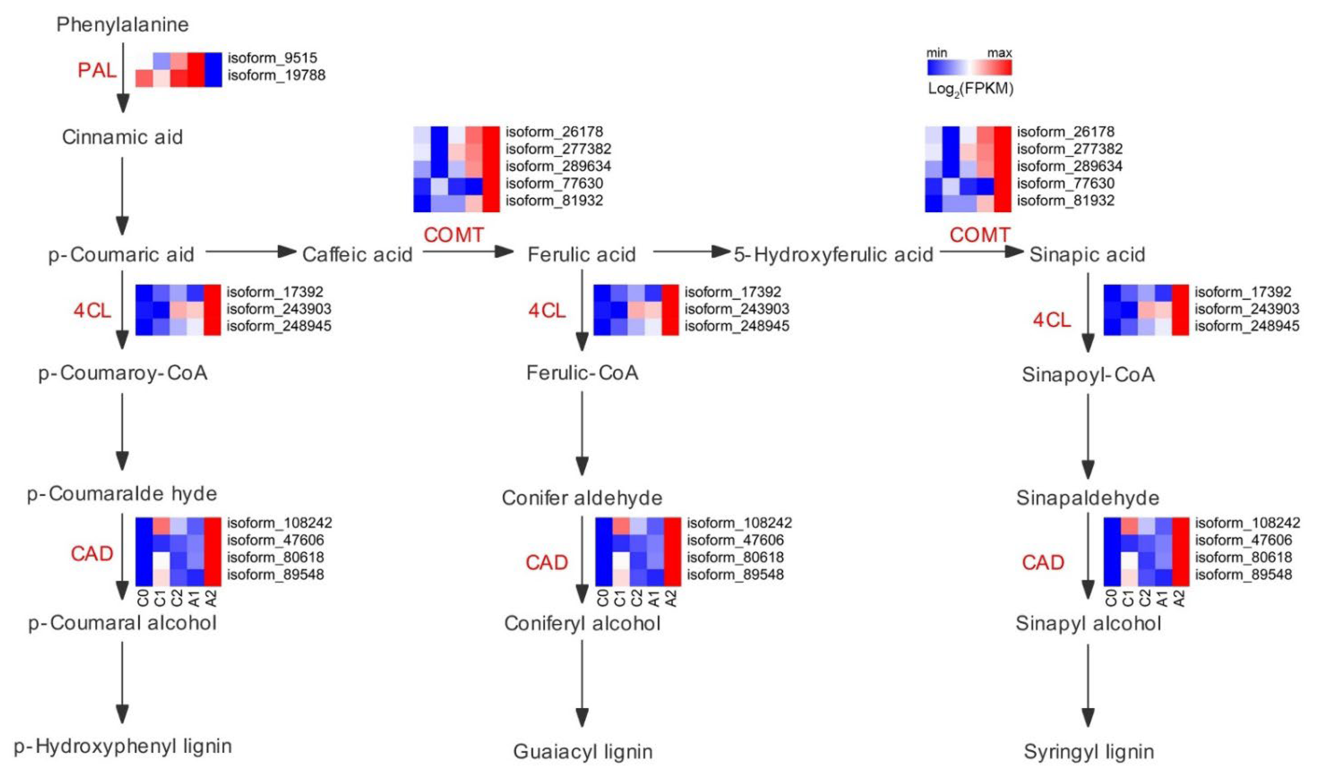 Forests 13 00837 g005