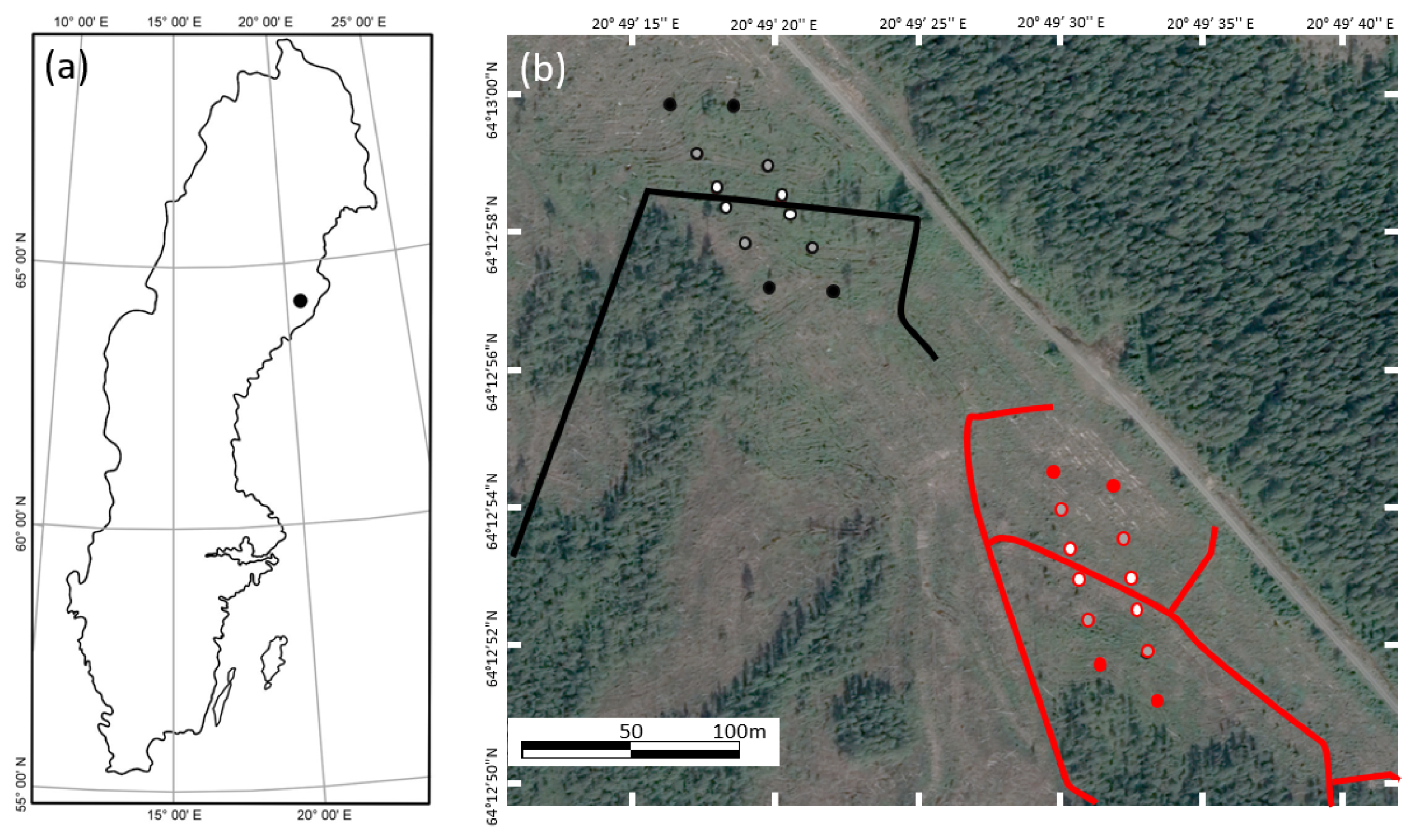 Forests 13 00842 g001