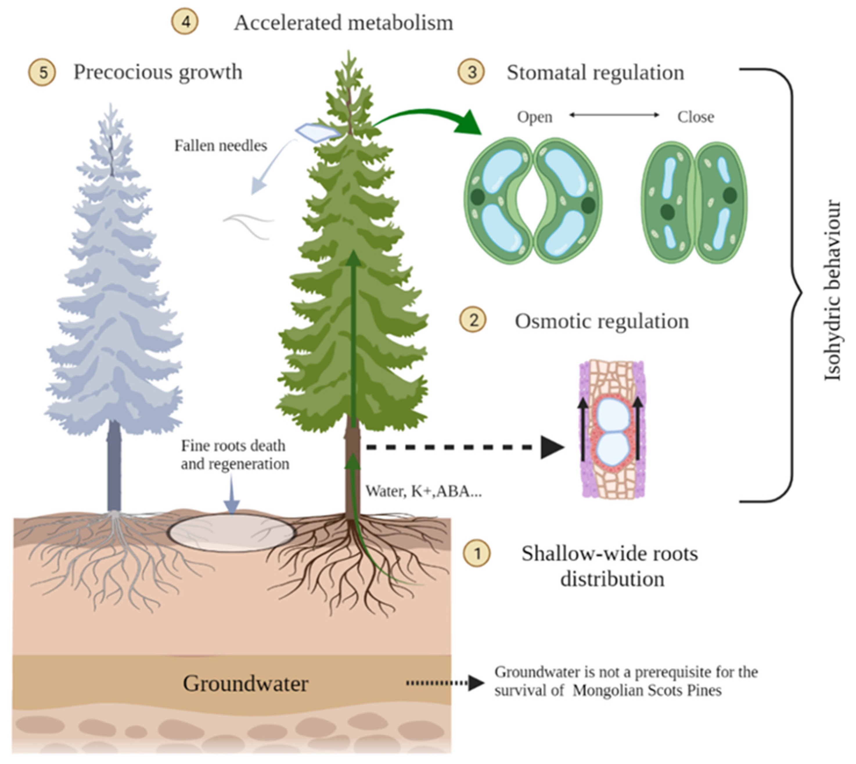 Forests 13 00846 g002