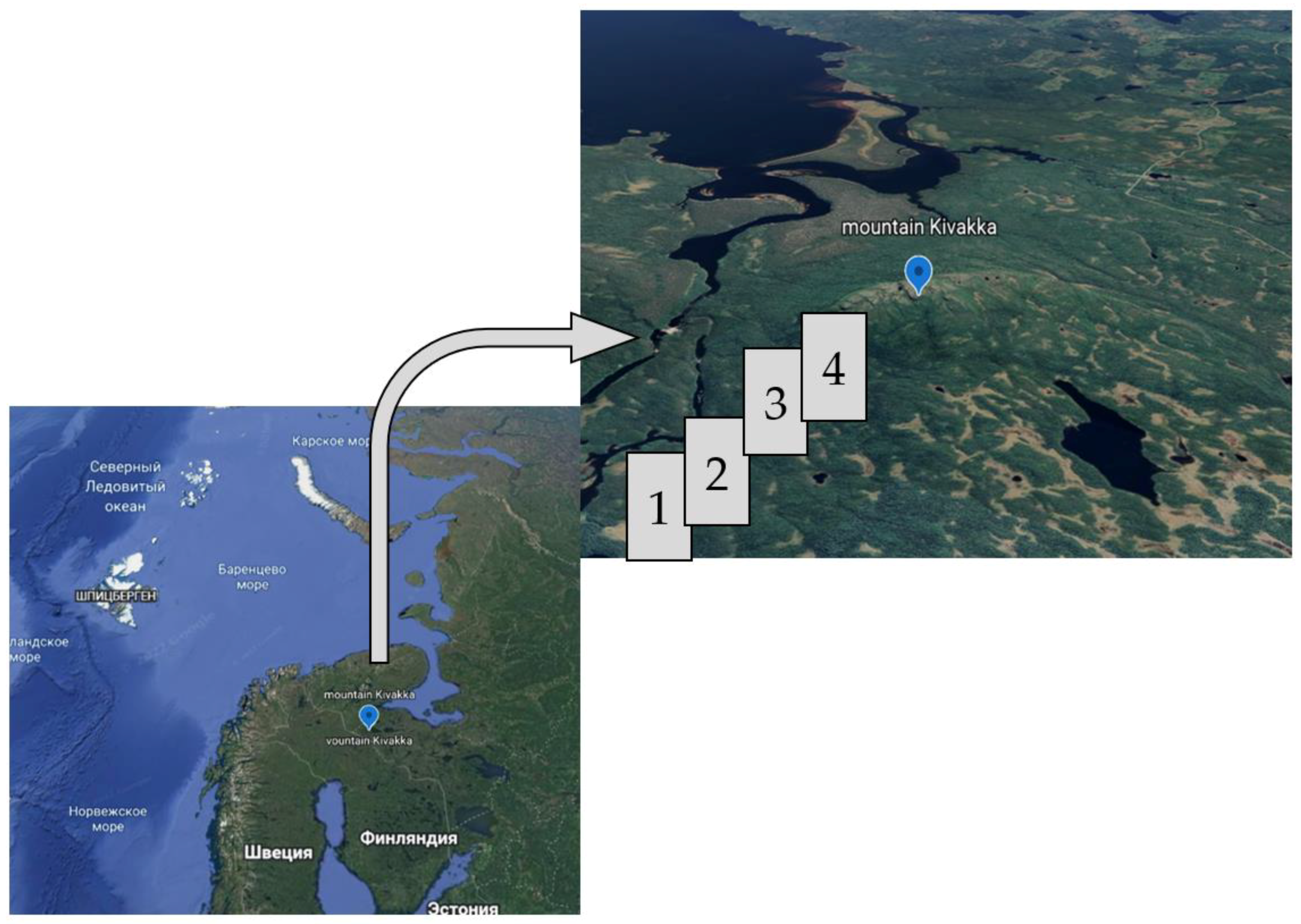 Forests 13 00849 g001