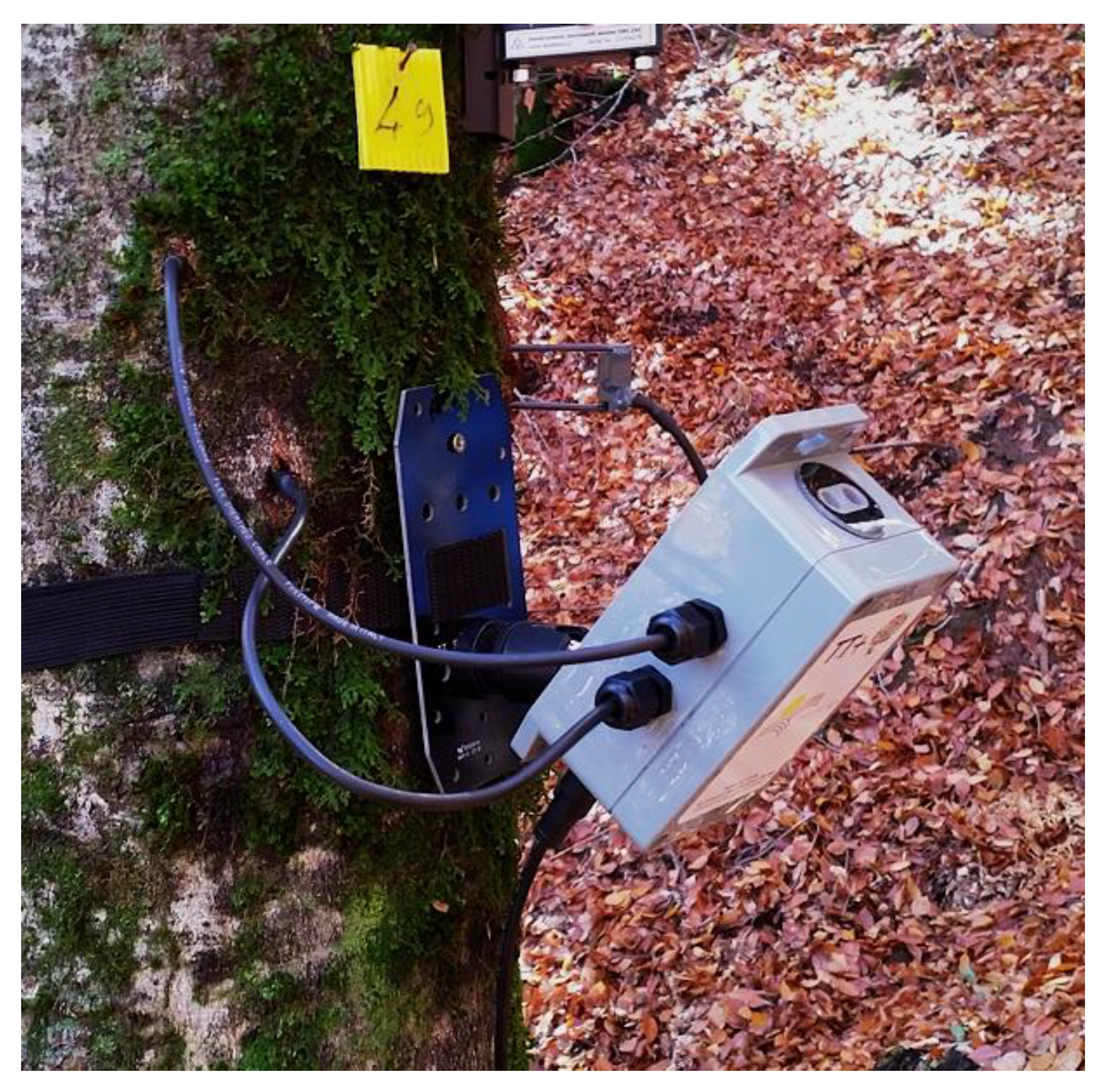 Forests 13 00855 g001