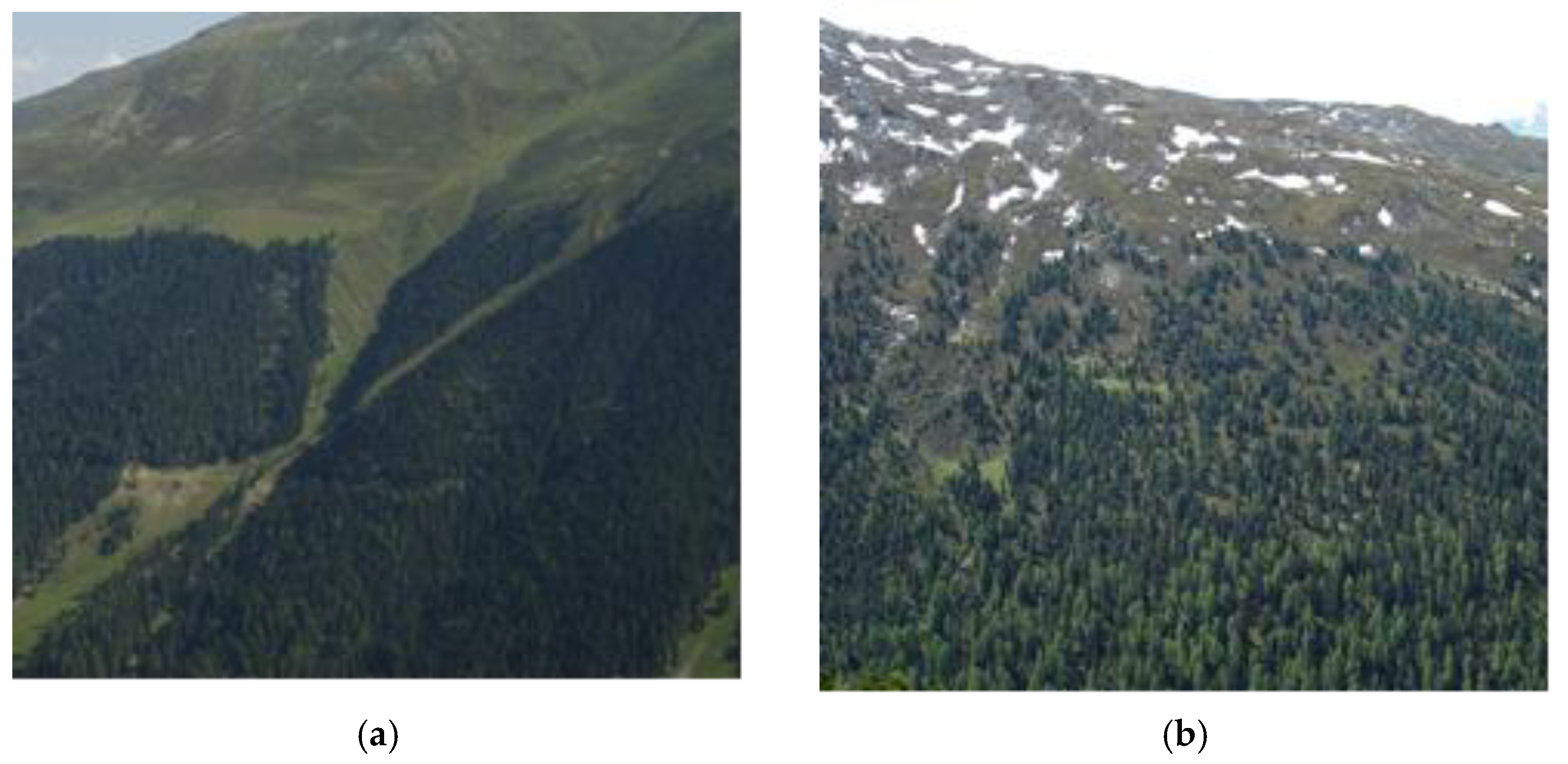 Forests 13 00857 g001