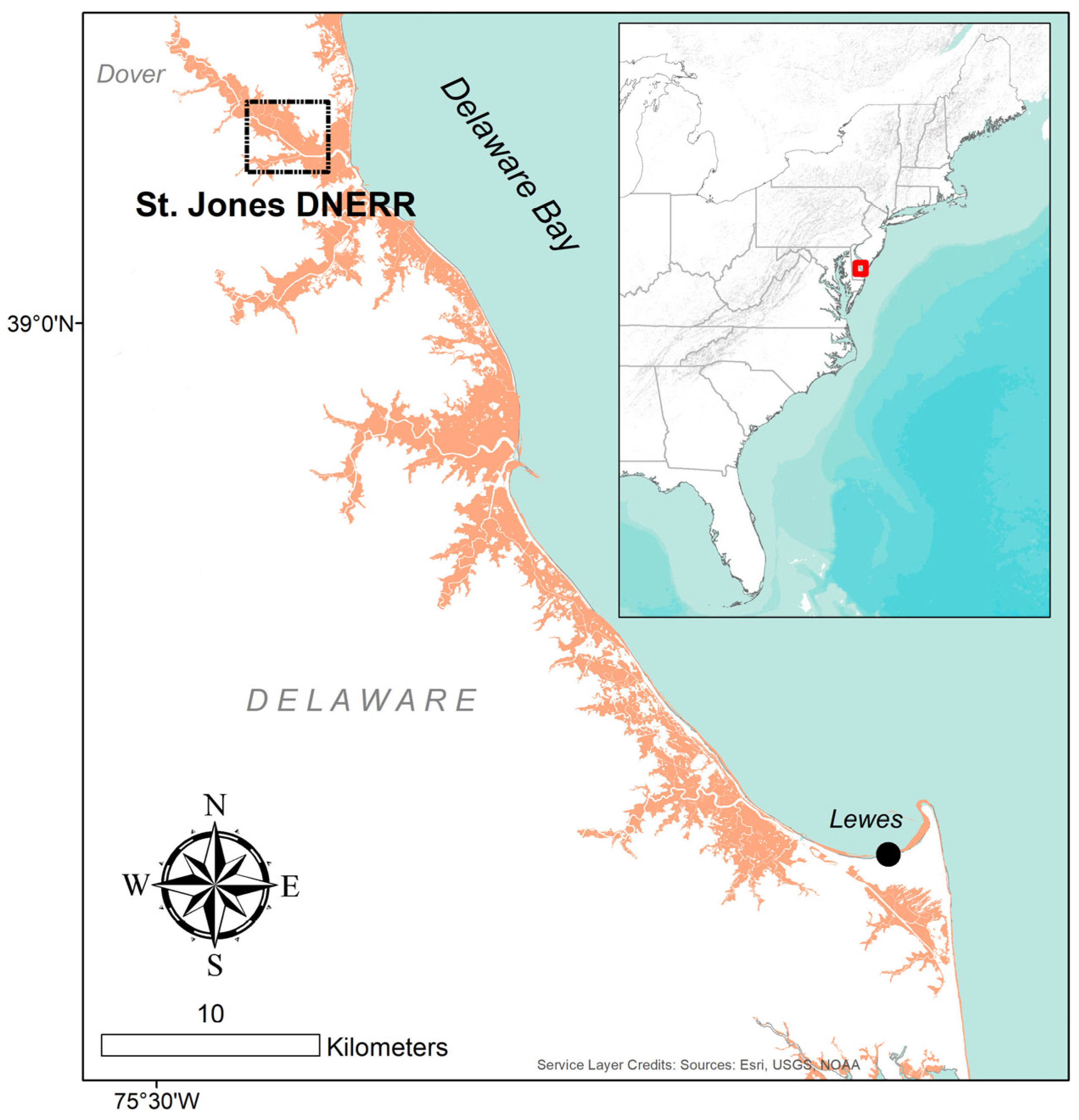 Forests 13 00862 g001