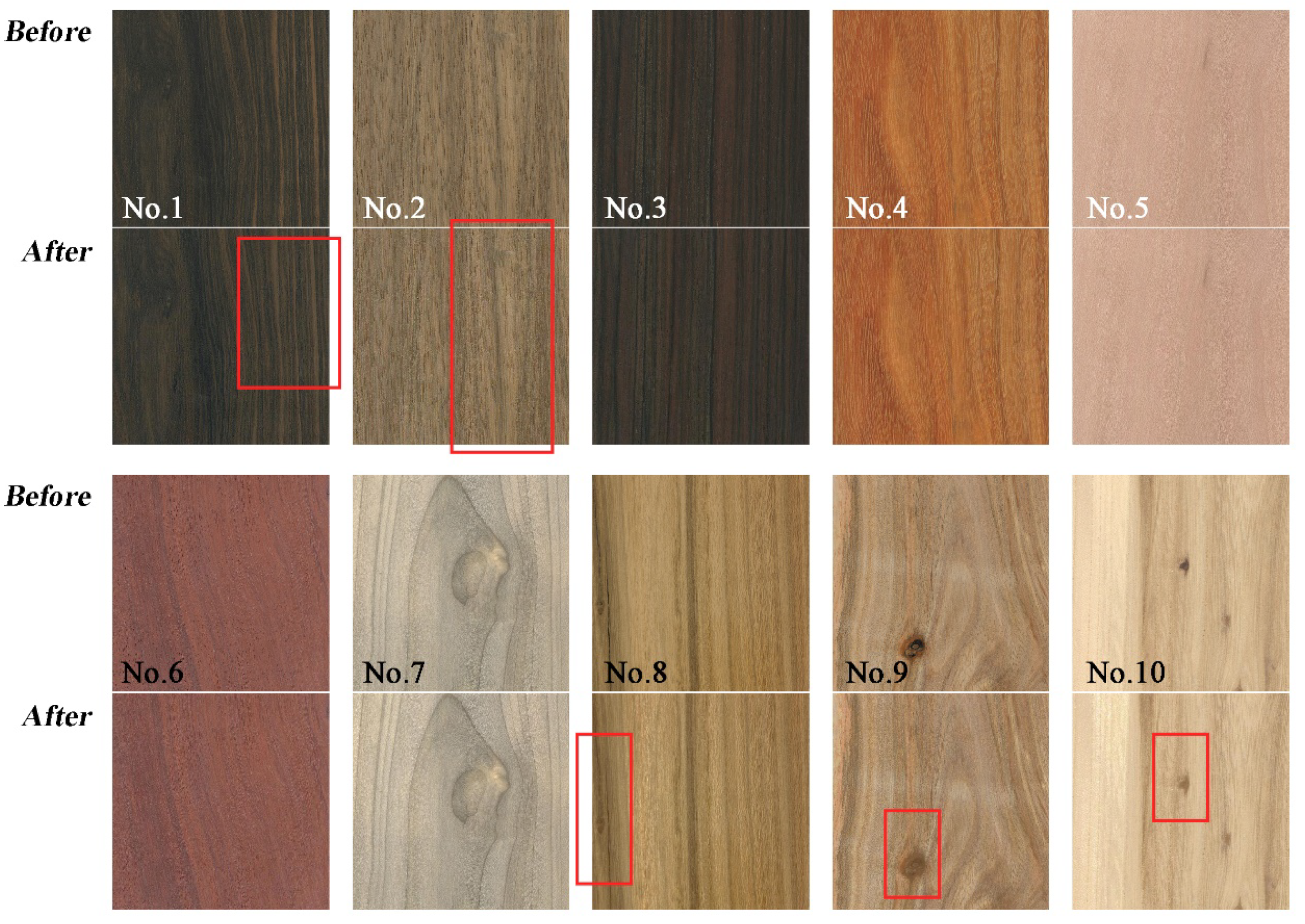 Forests 13 00863 g001