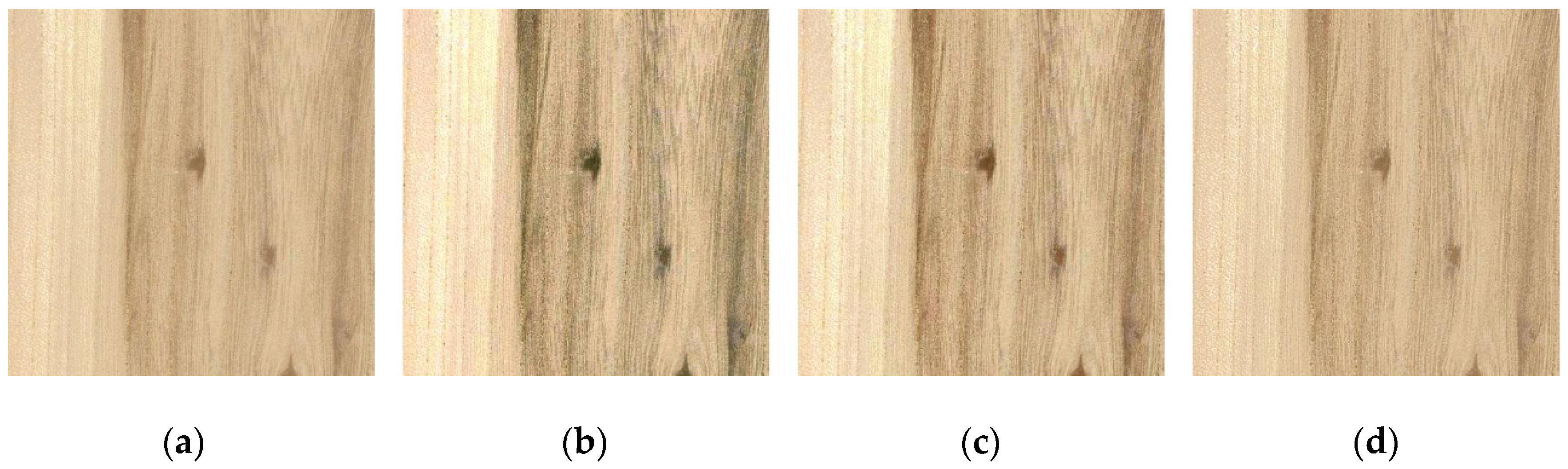 Forests 13 00863 g009