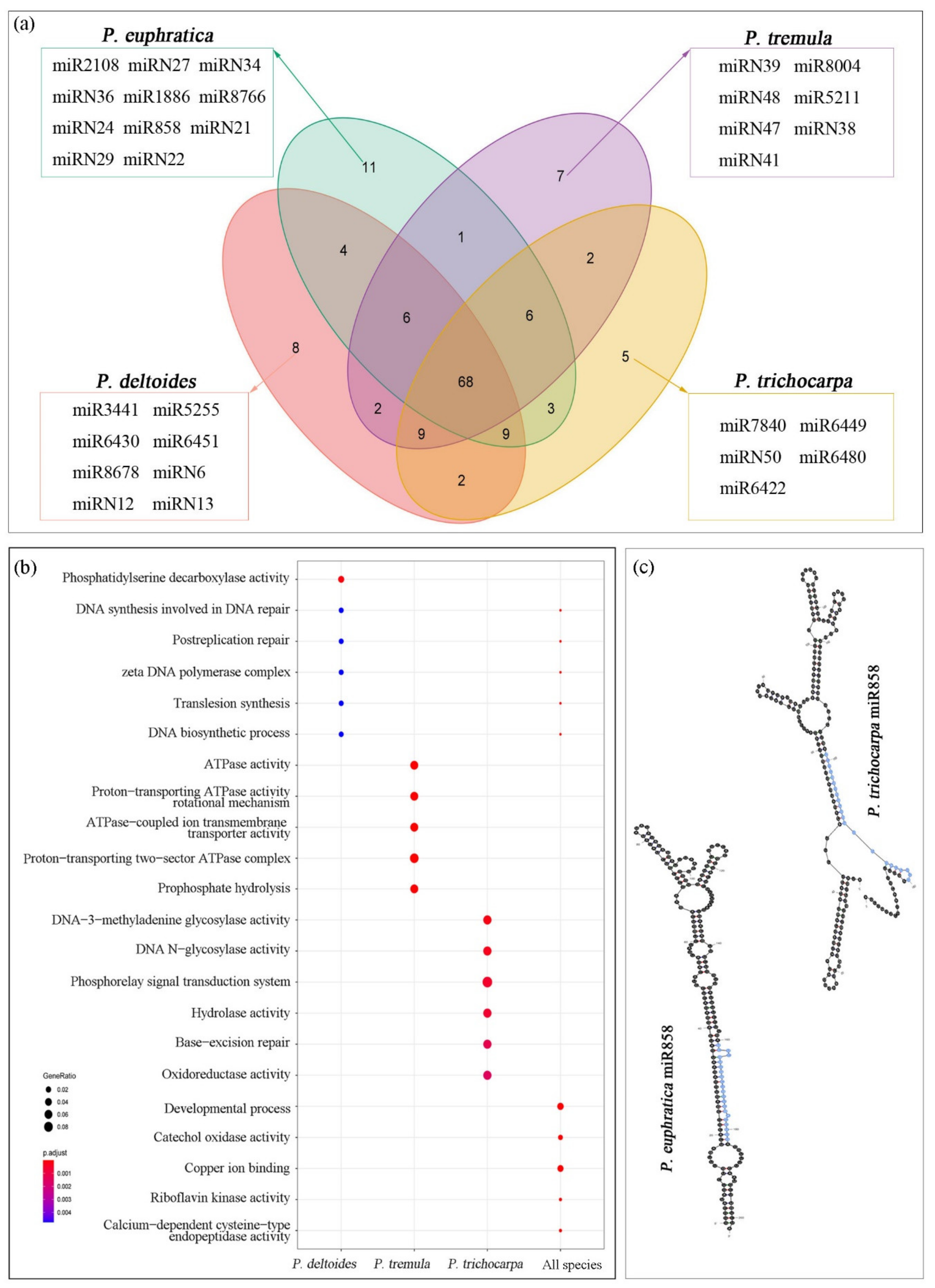 Forests 13 00873 g004