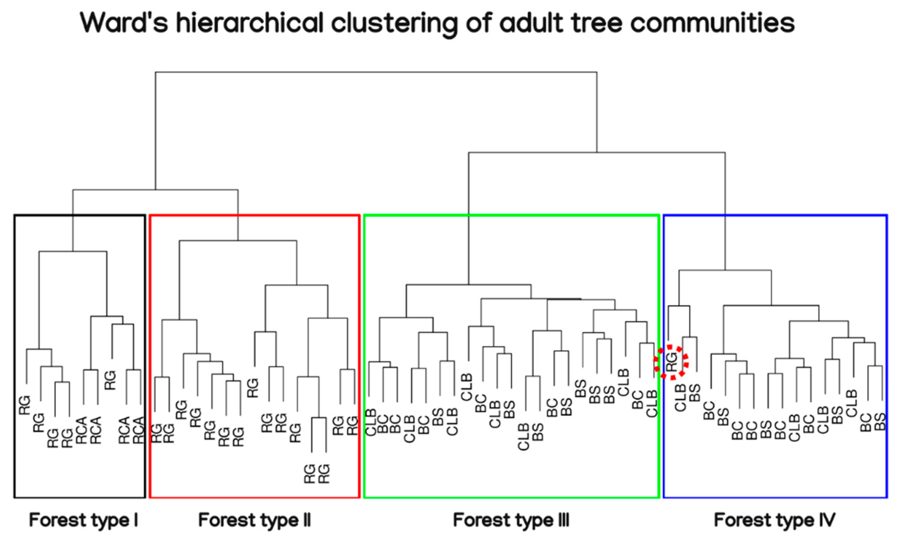 Forests 13 00875 g004