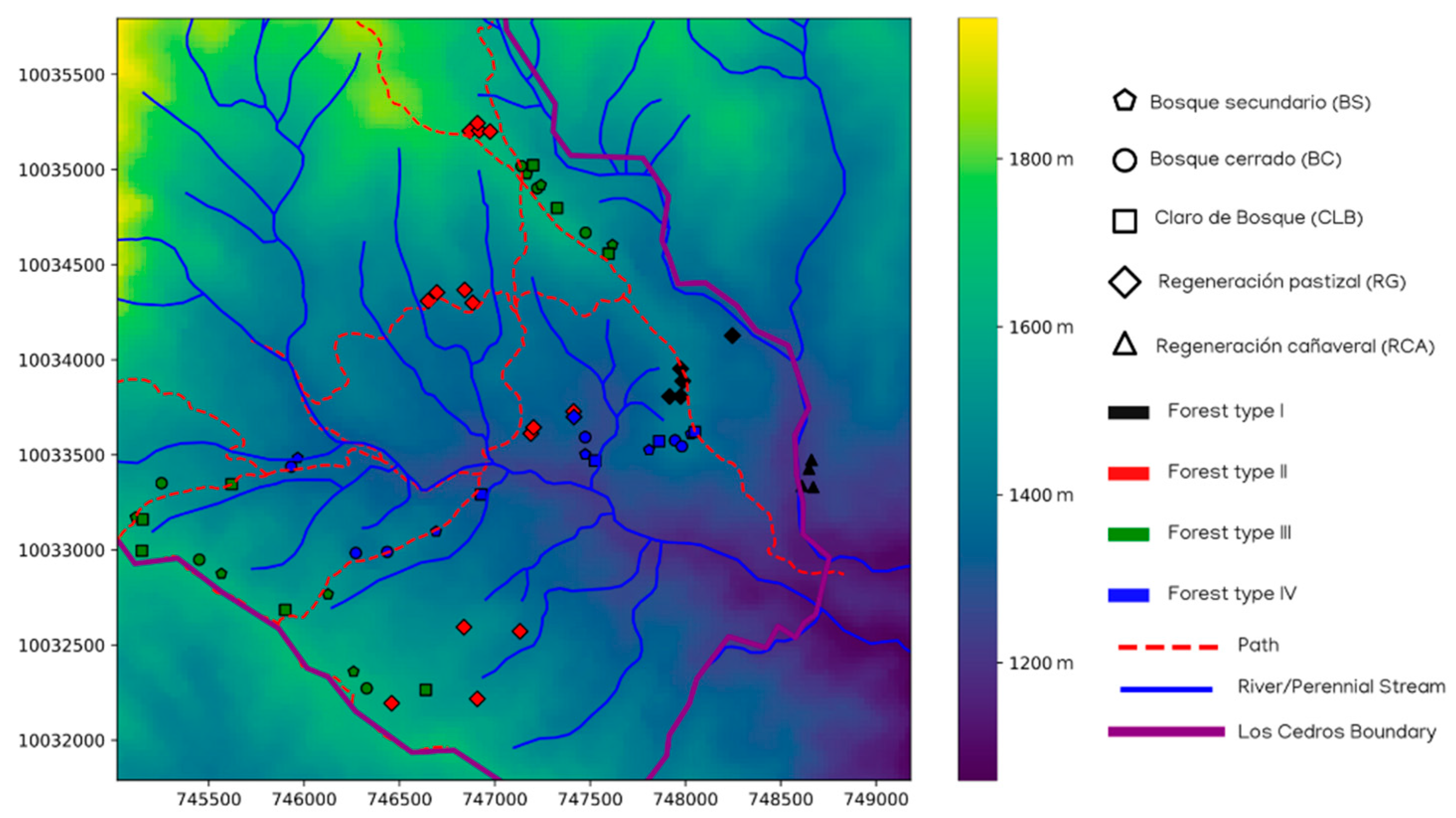 Forests 13 00875 g006
