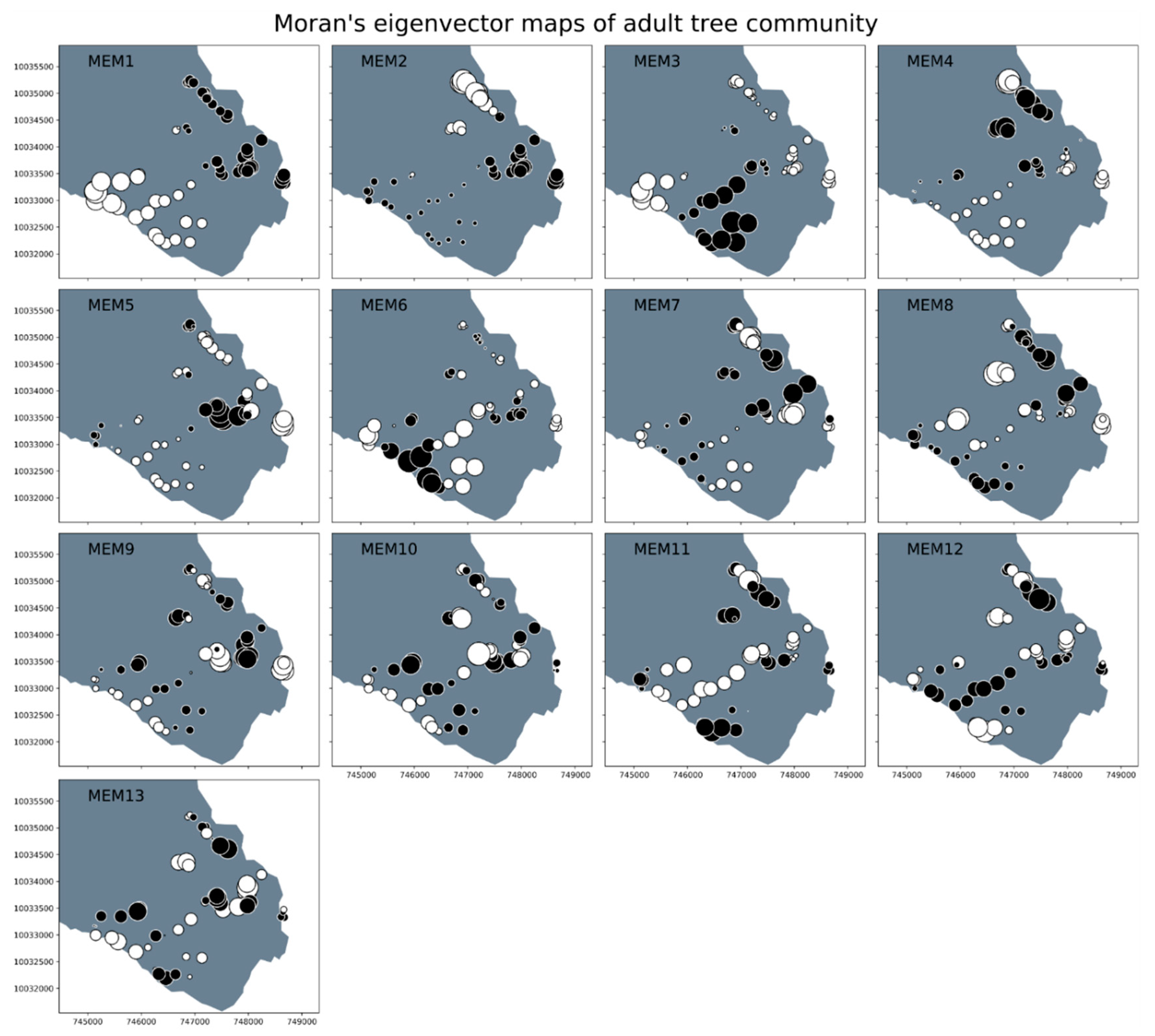 Forests 13 00875 g008