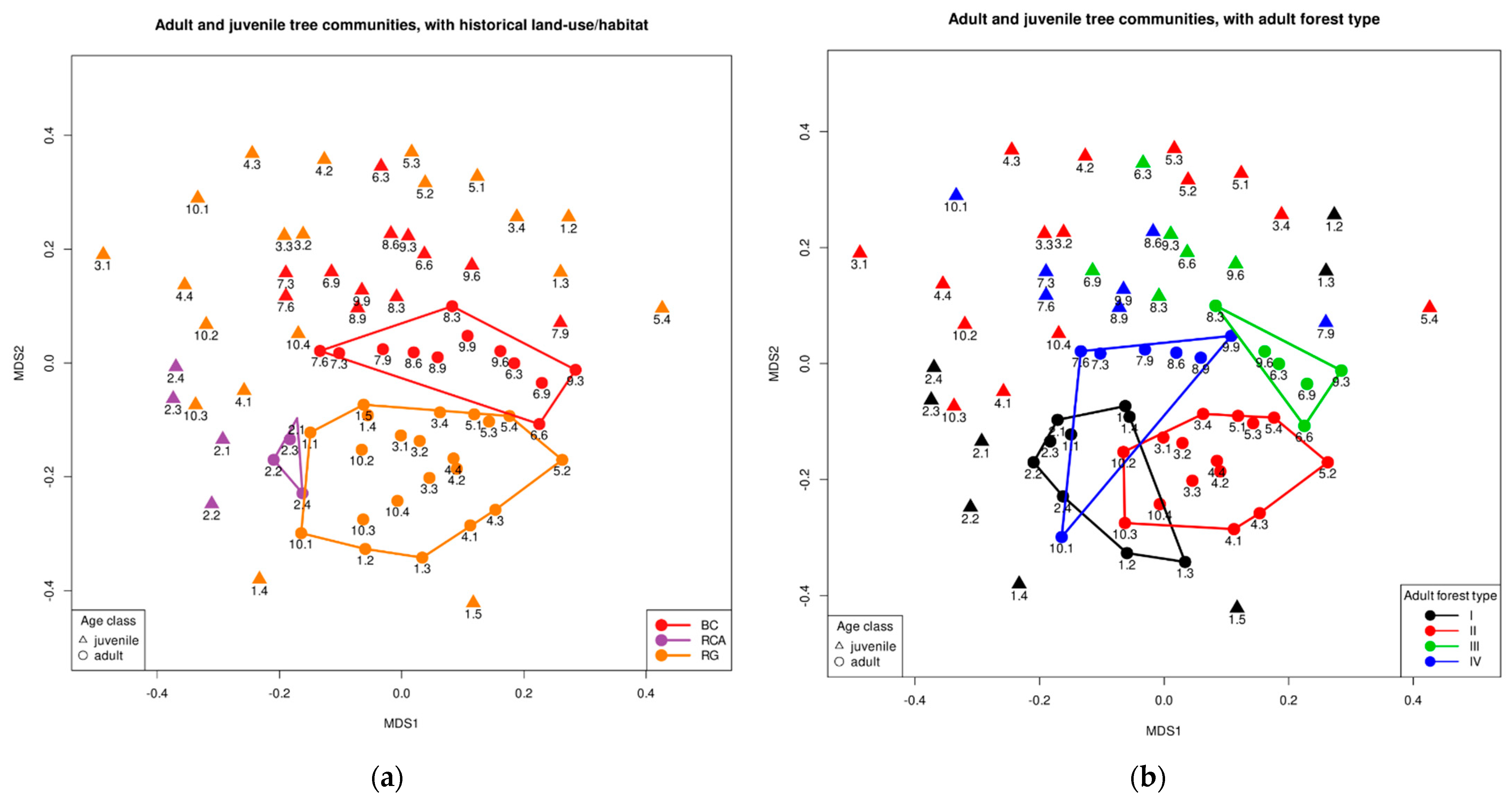 Forests 13 00875 g009
