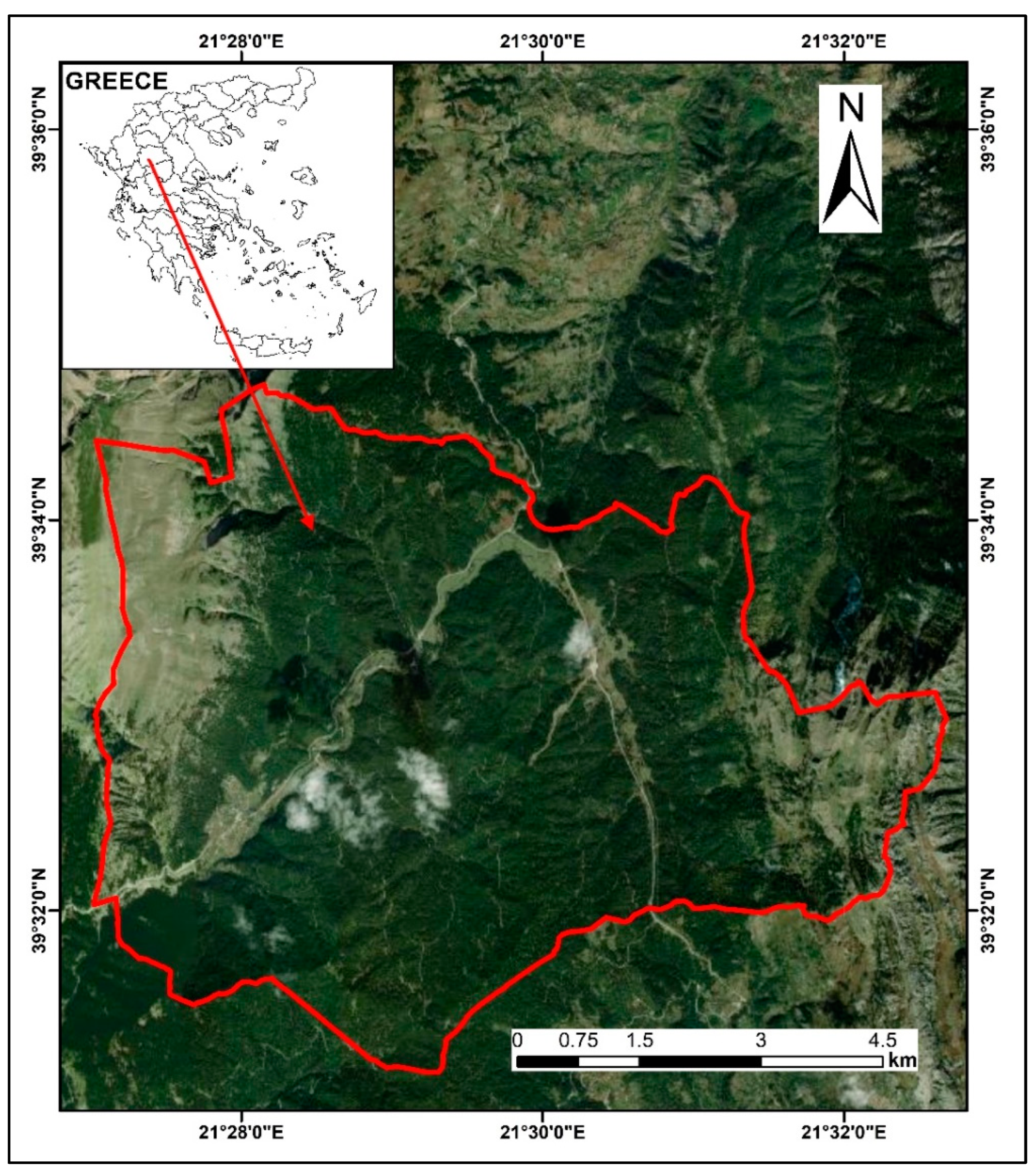 Forests 13 00879 g001
