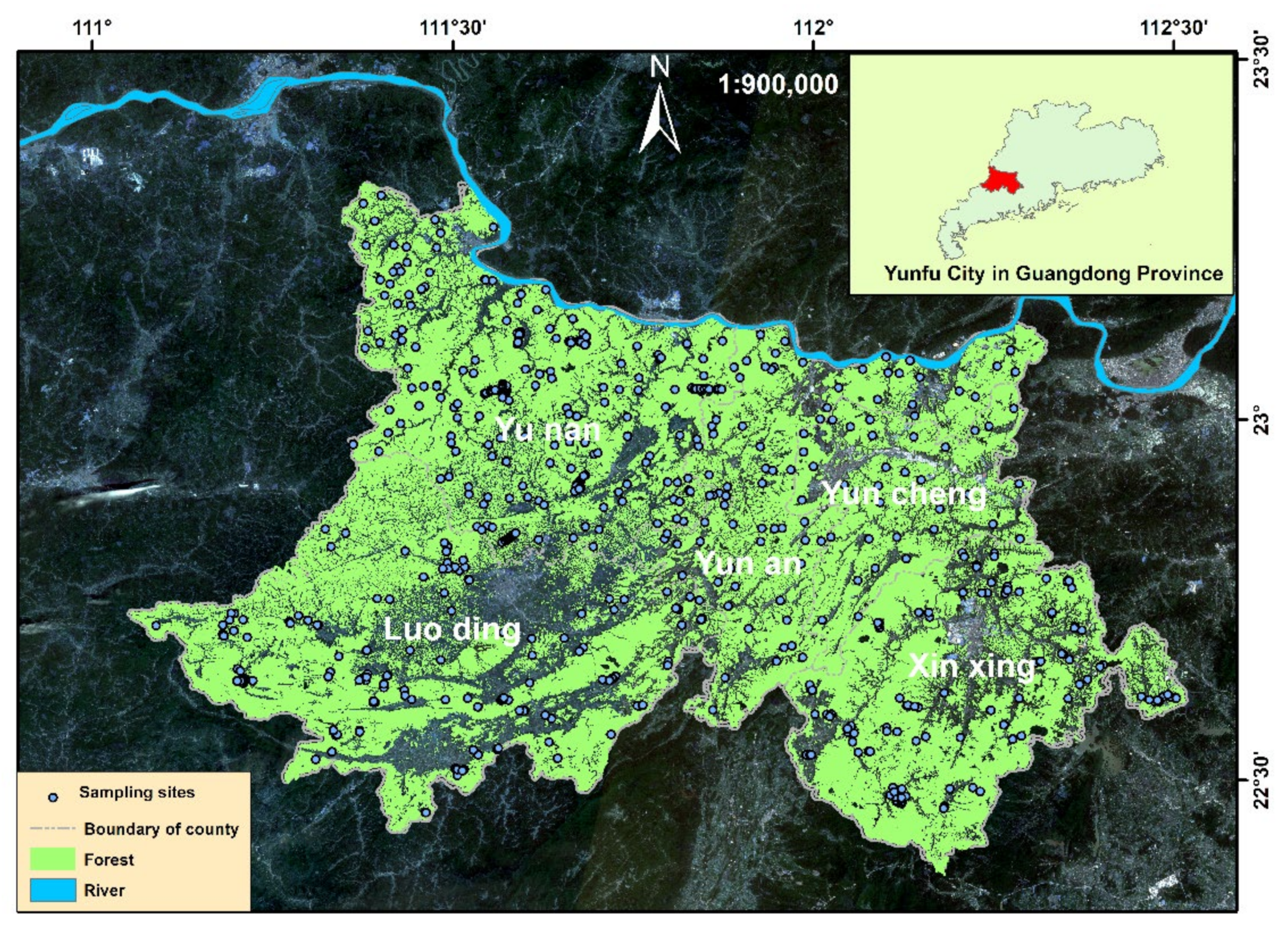 Forests 13 00884 g001