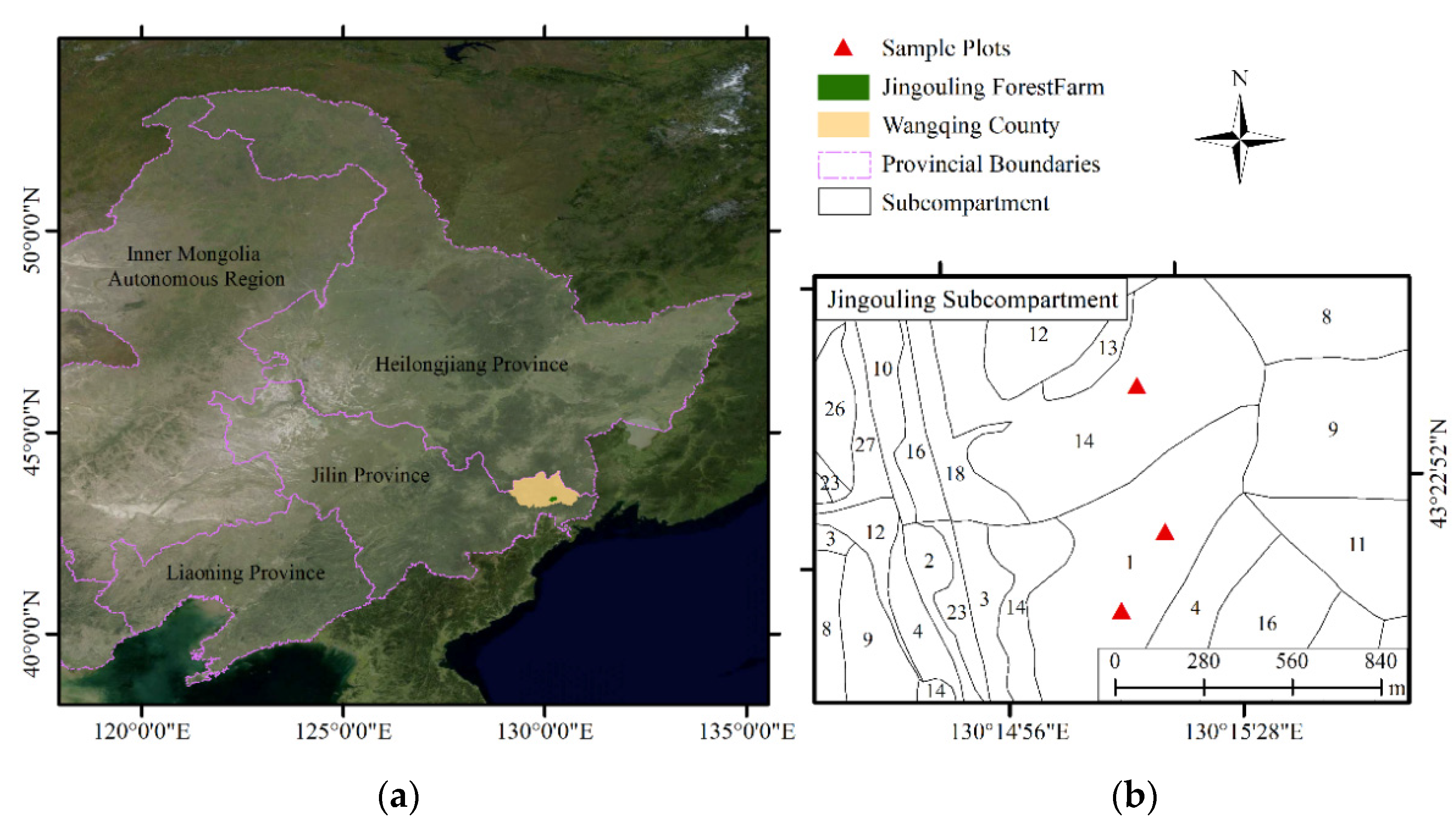Forests 13 00888 g001
