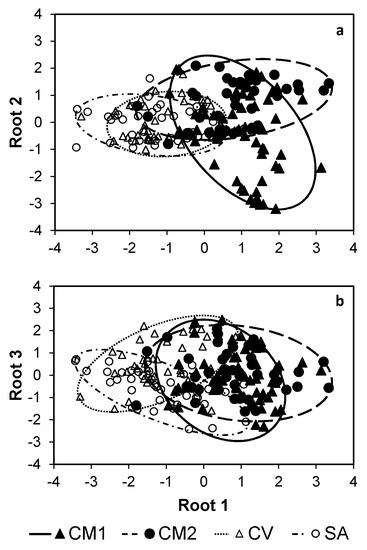 Forests 13 00889 g001