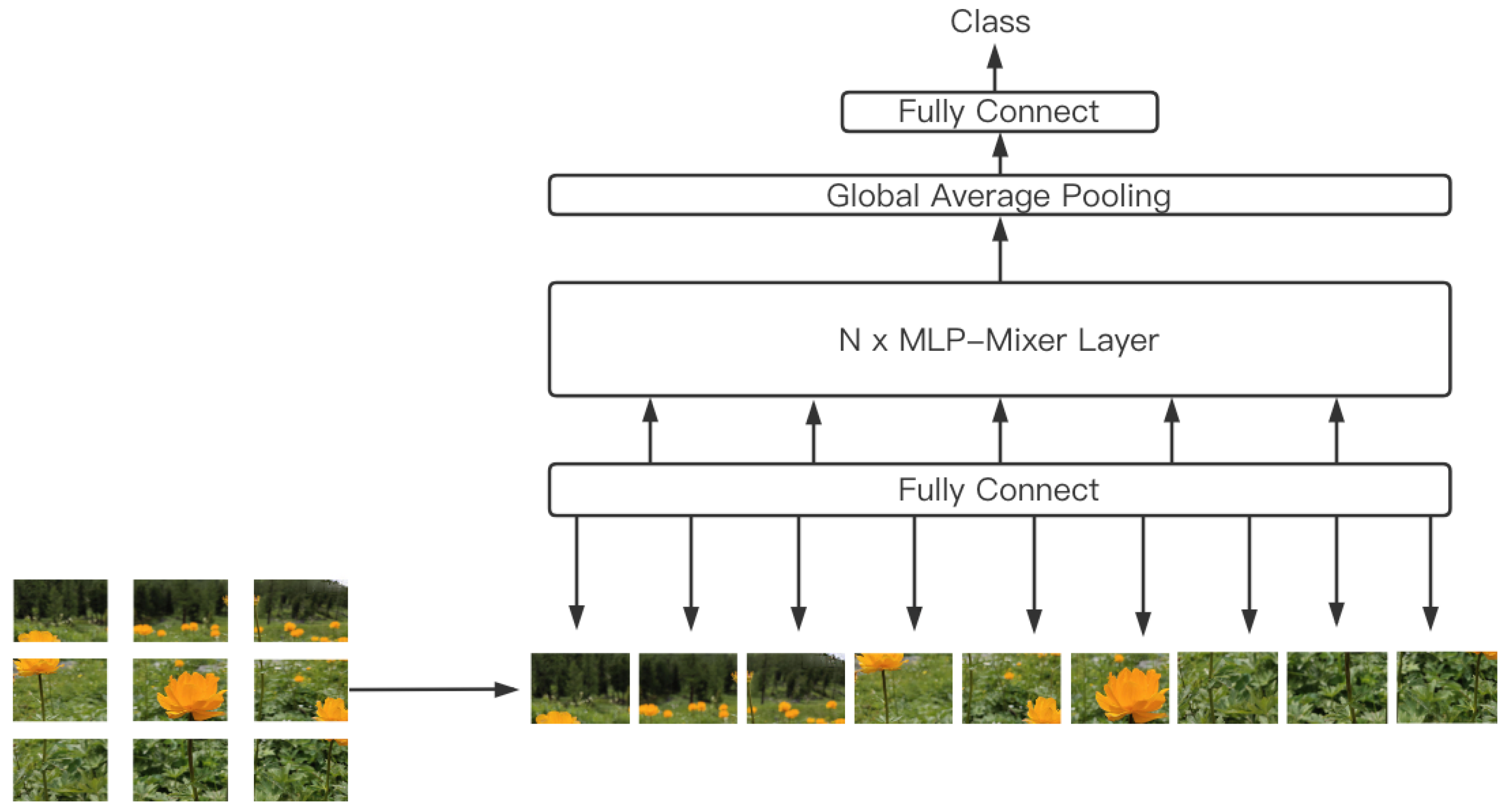 Forests 13 00892 g004 Forests 13 00892 g004