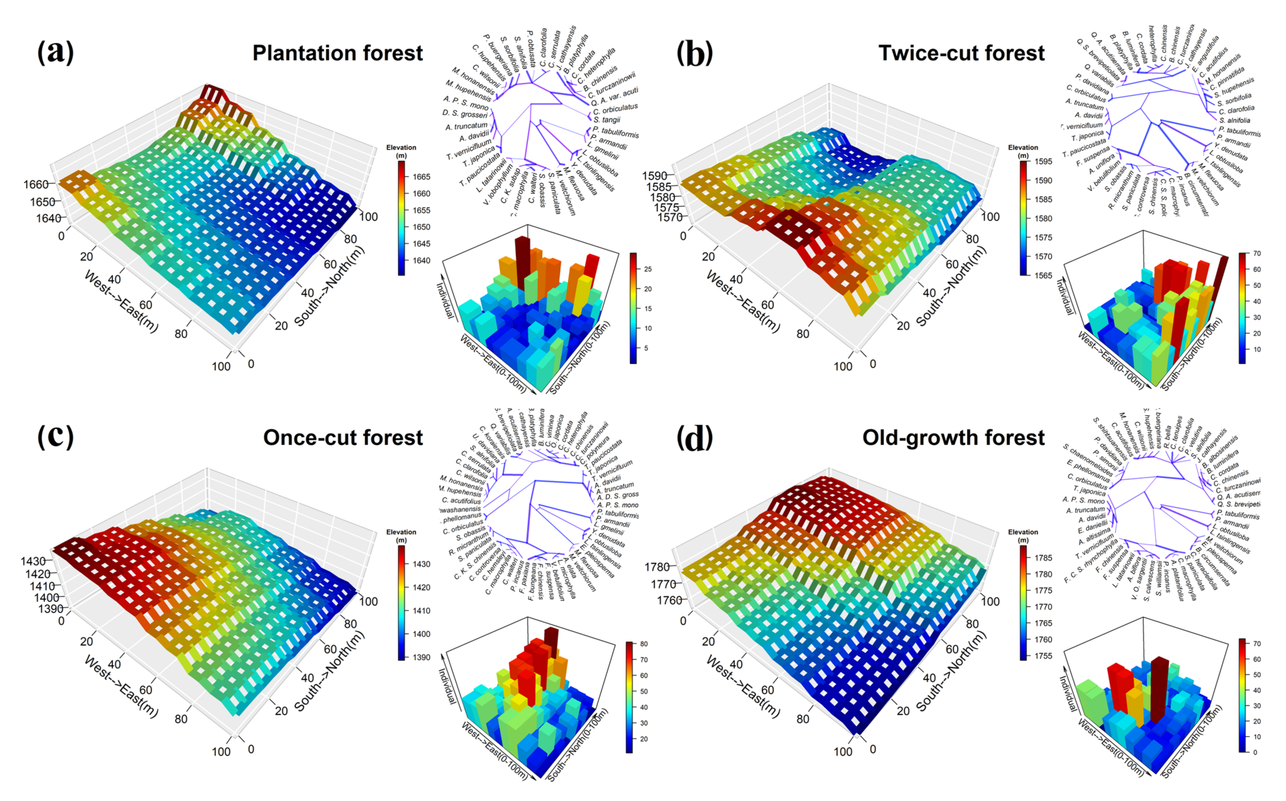 Forests 13 00896 g002