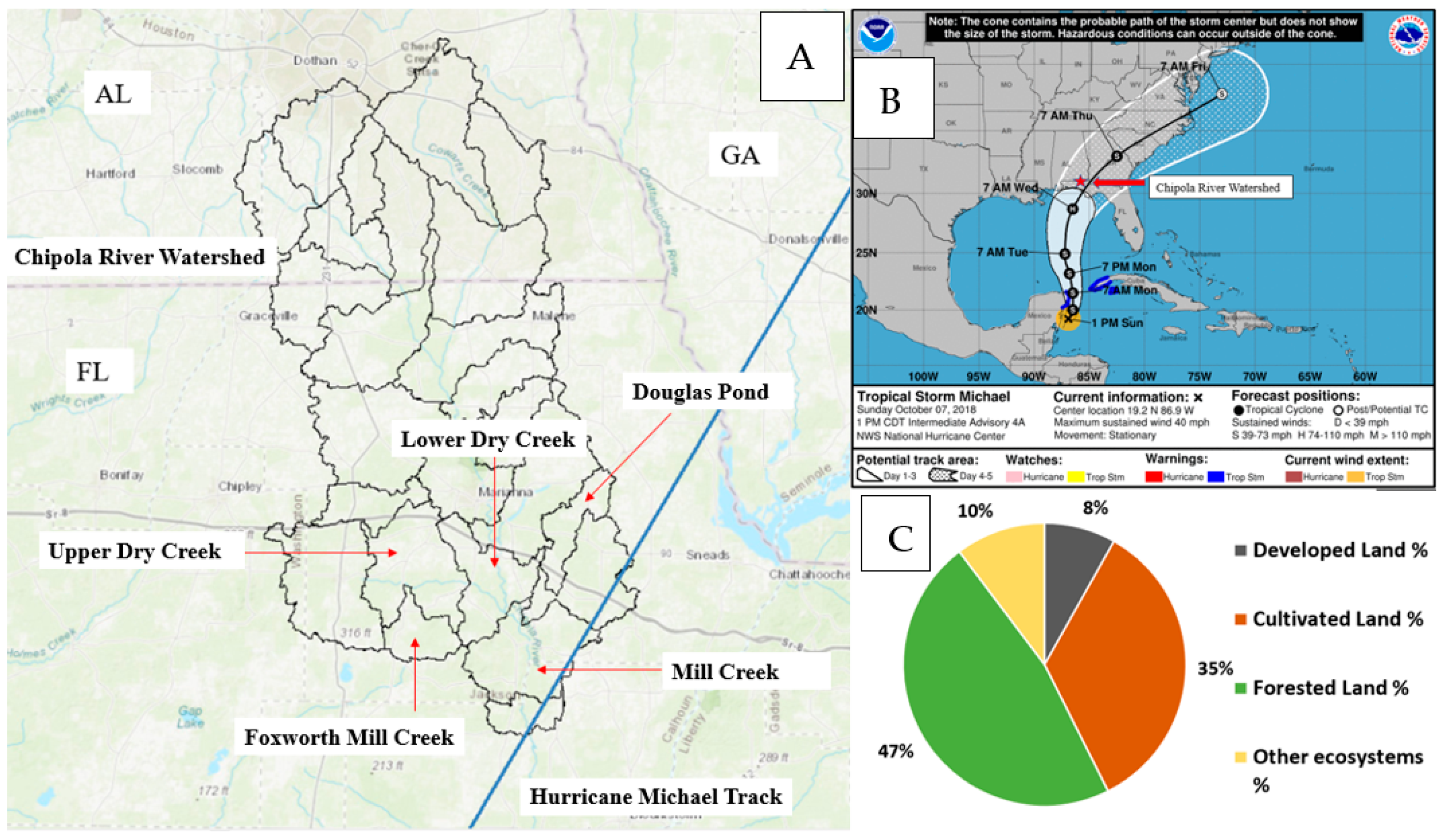 Forests 13 00904 g001