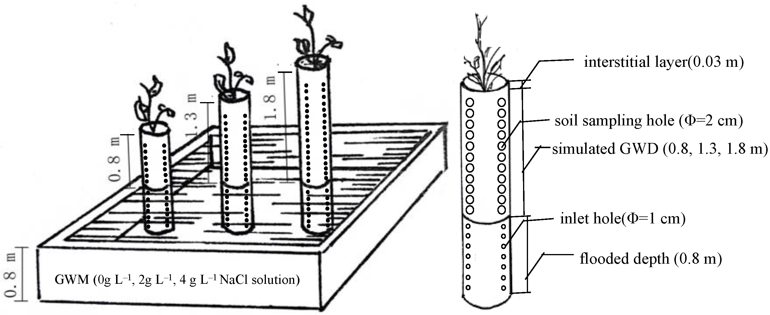 Forests 13 00915 g001