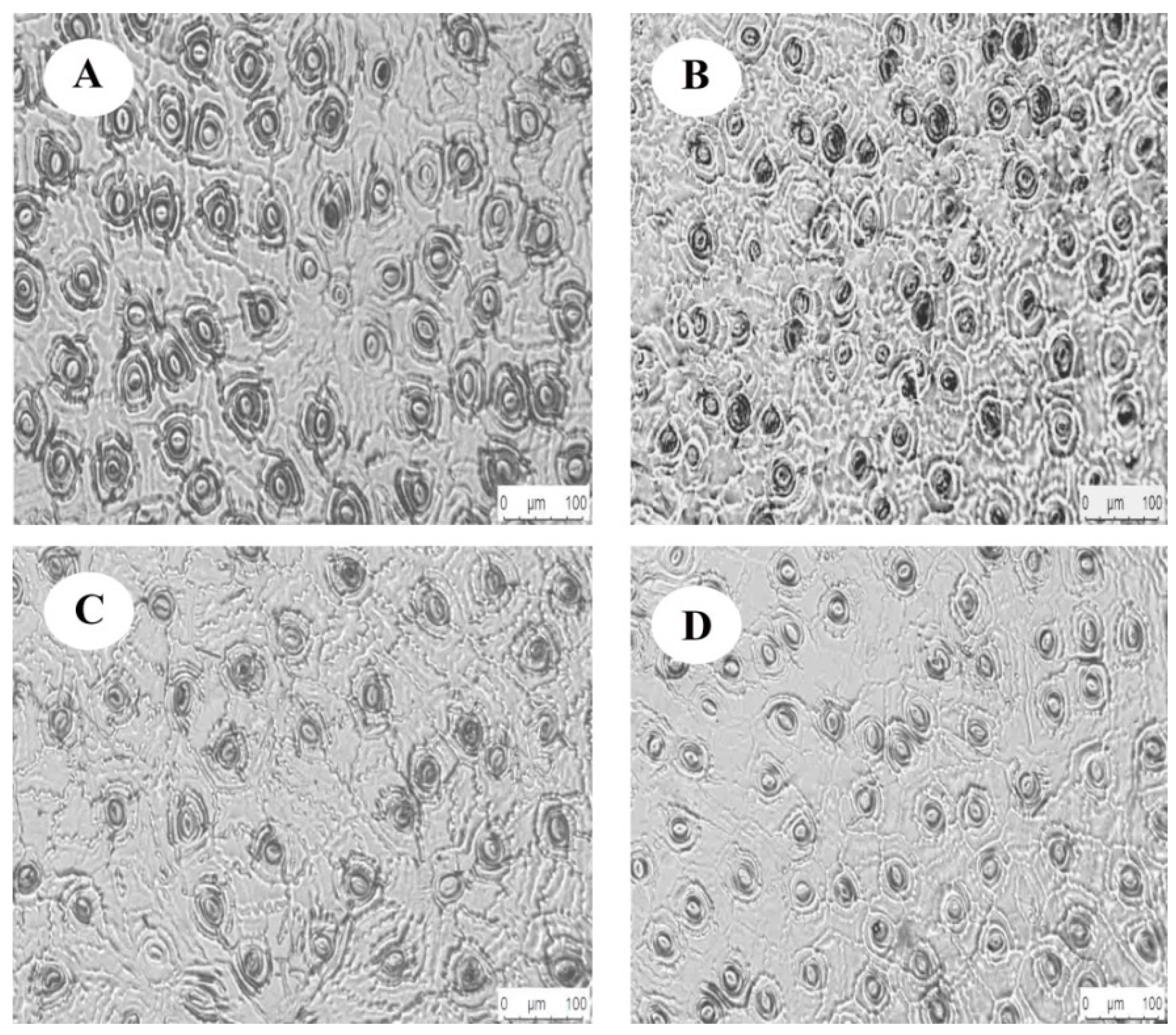 Forests 13 00918 g003