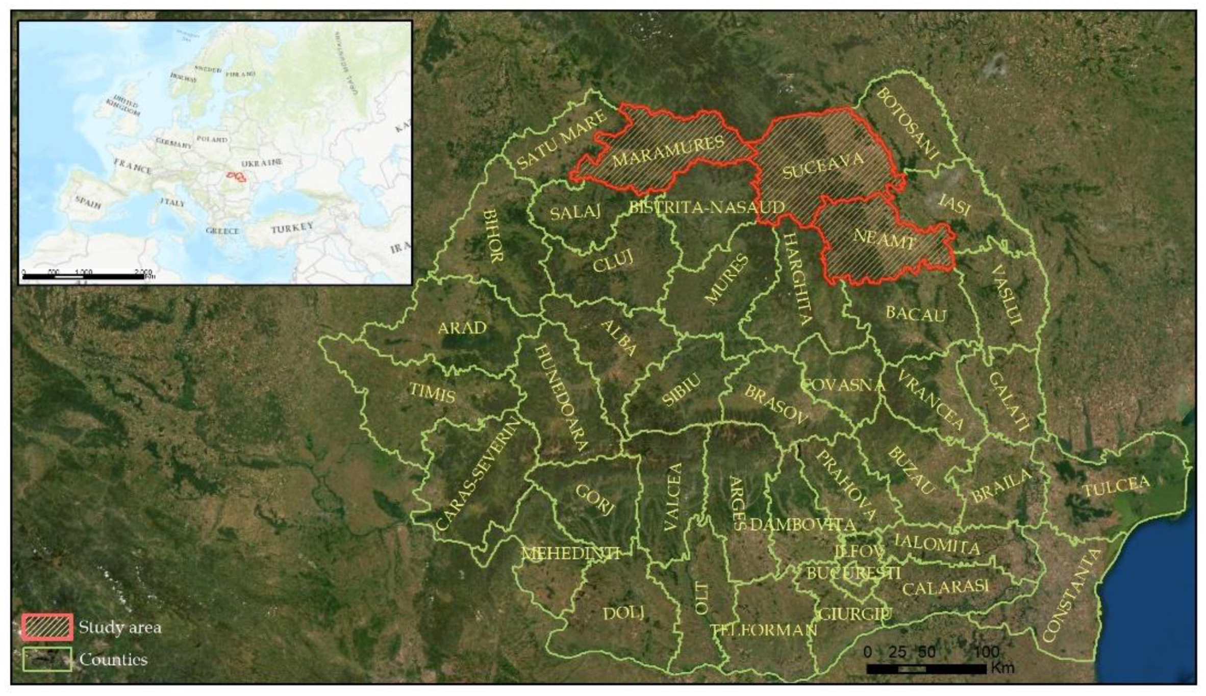 Forests 13 00920 g001